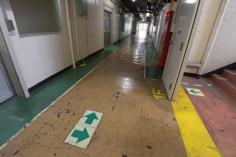 101号館1階の廊下