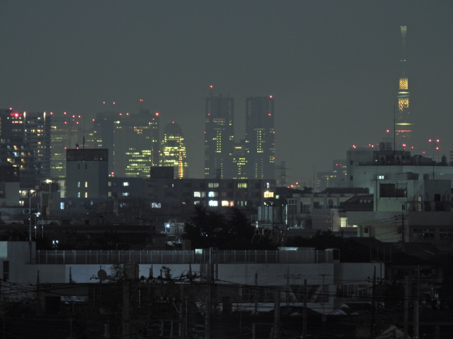 COOLPIX P900 / 5秒 / F5.6 / ISO 100 / 143mm（800mm相当）