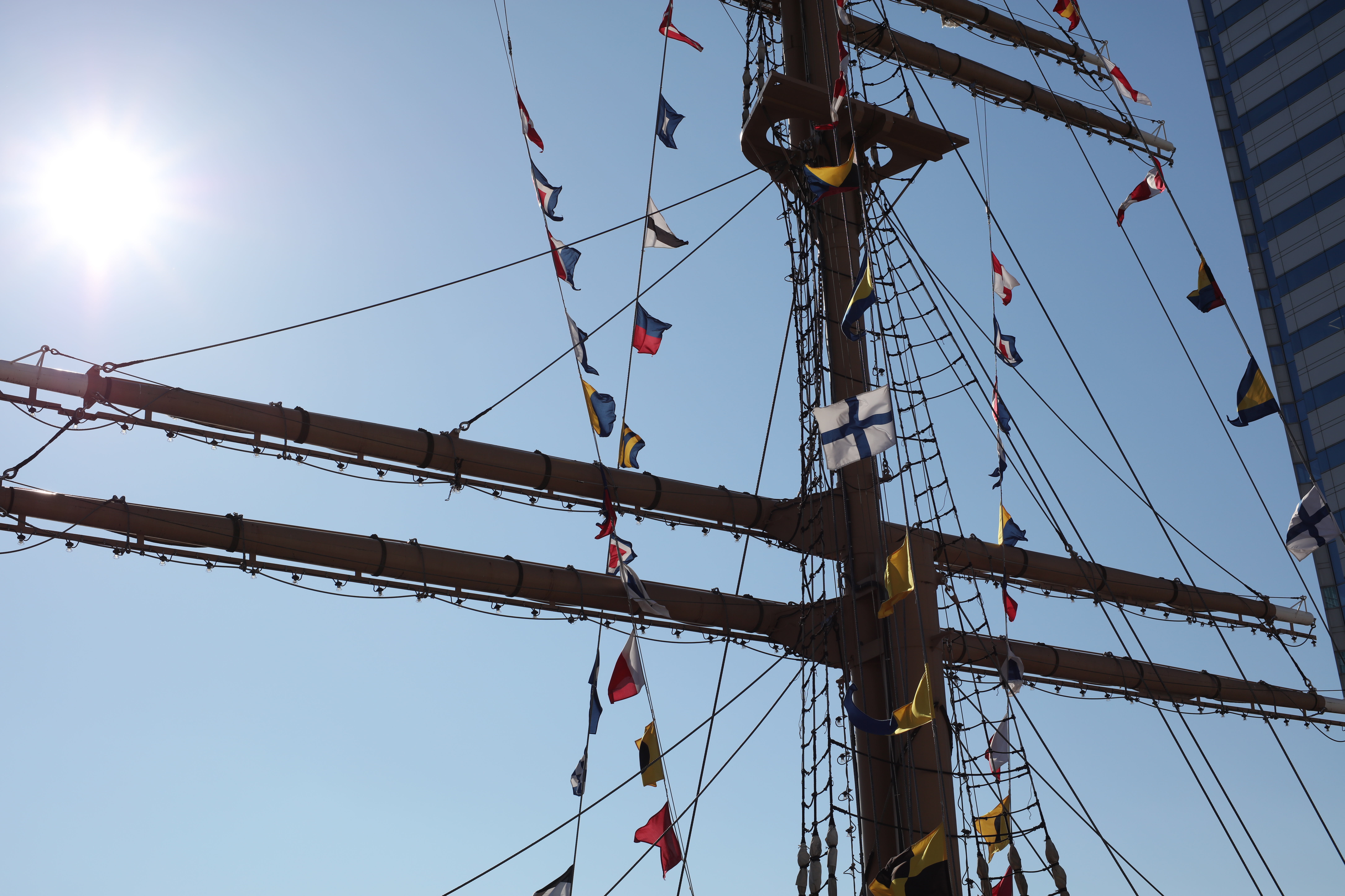 太陽が画面内に入る逆光で撮影。EOS 5Ds R / 1/1,000秒 / F8 / -0.3EV / ISO100 / 絞り優先AE / 50mm