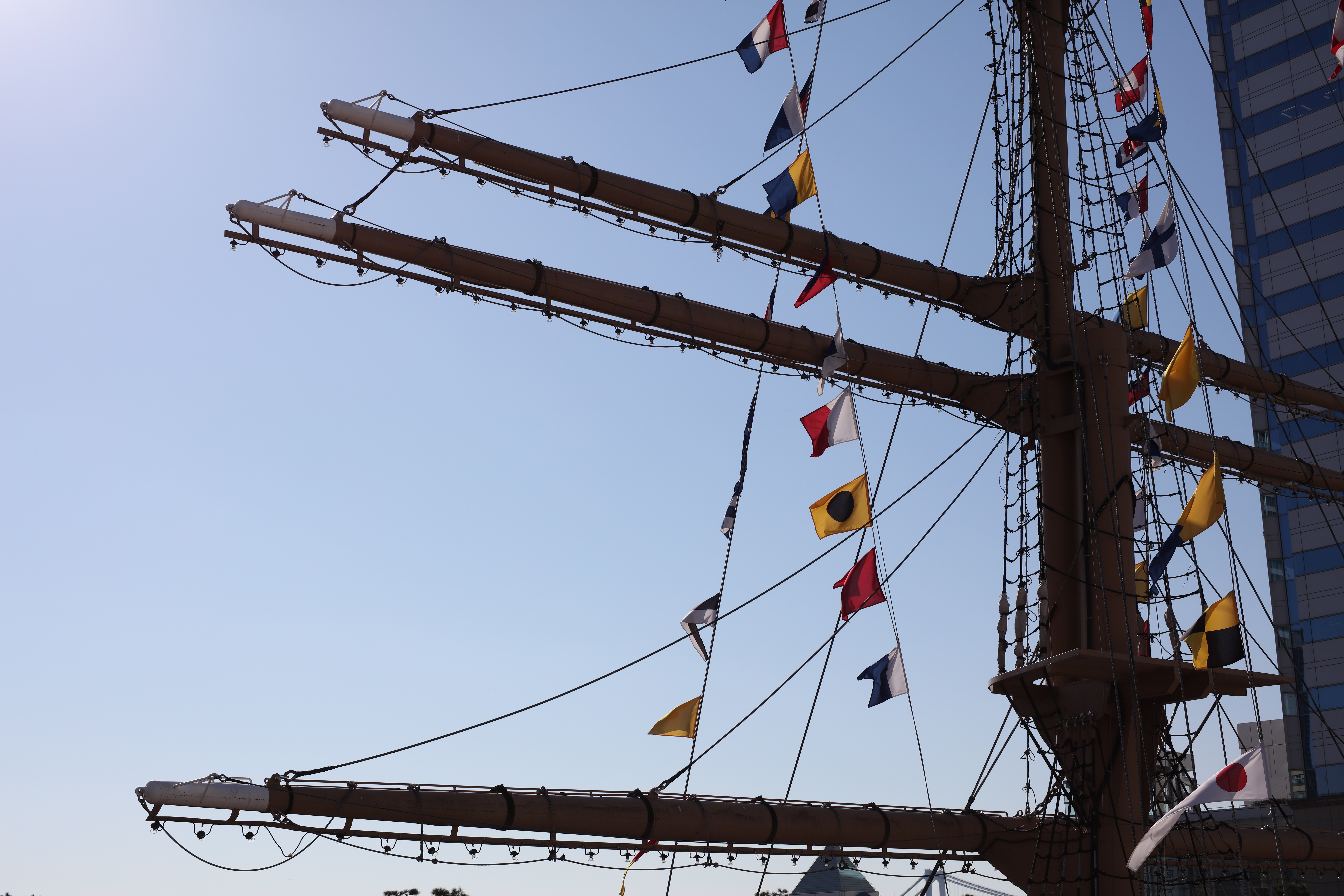 太陽が画面外にある逆光で撮影。EOS 5Ds R / 1/800秒 / F8 / -0.3EV / ISO100 / 絞り優先AE / 50mm