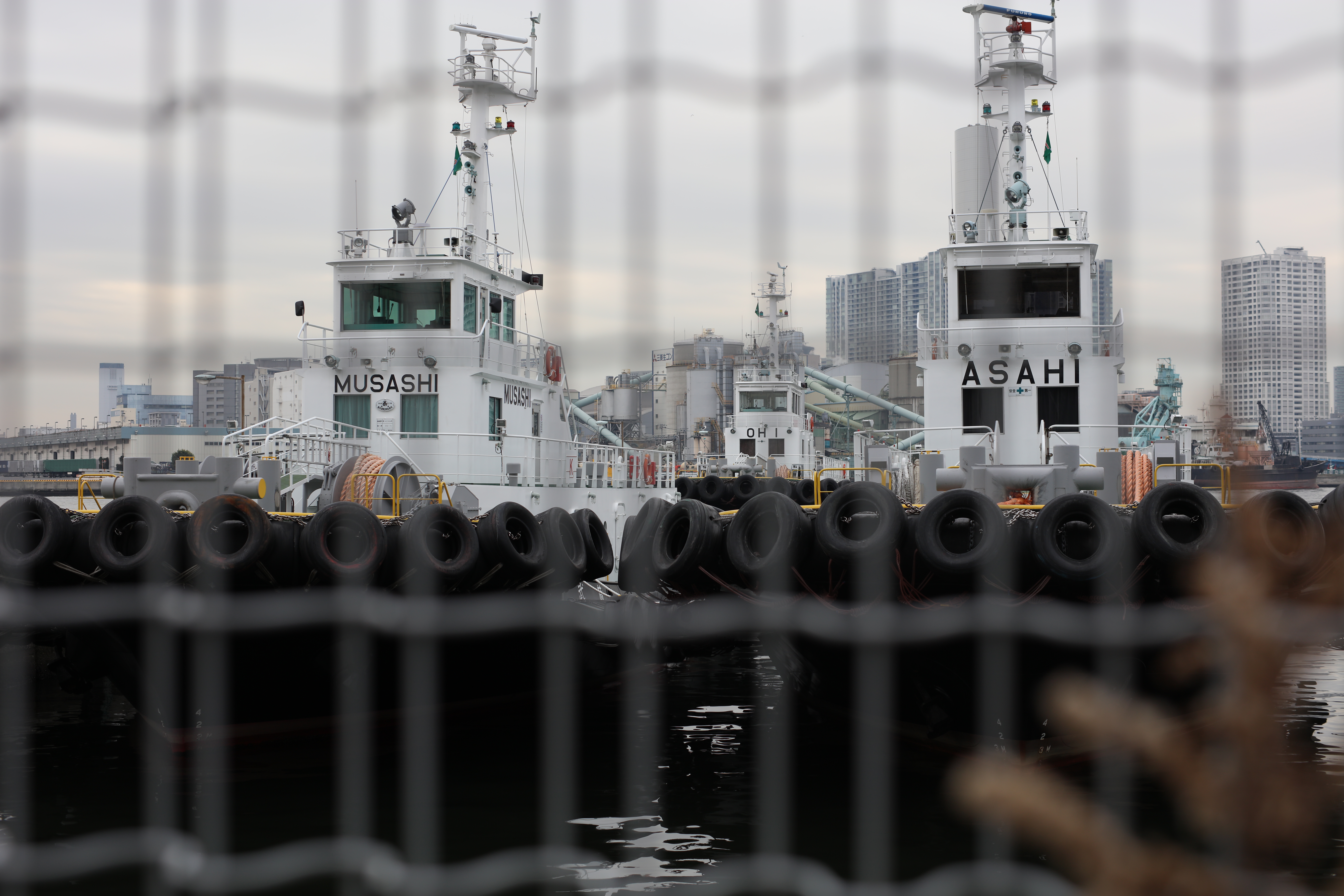 EOS 5Ds R / 1/800秒 / F4 / 0EV / ISO100 / 絞り優先AE / 50mm