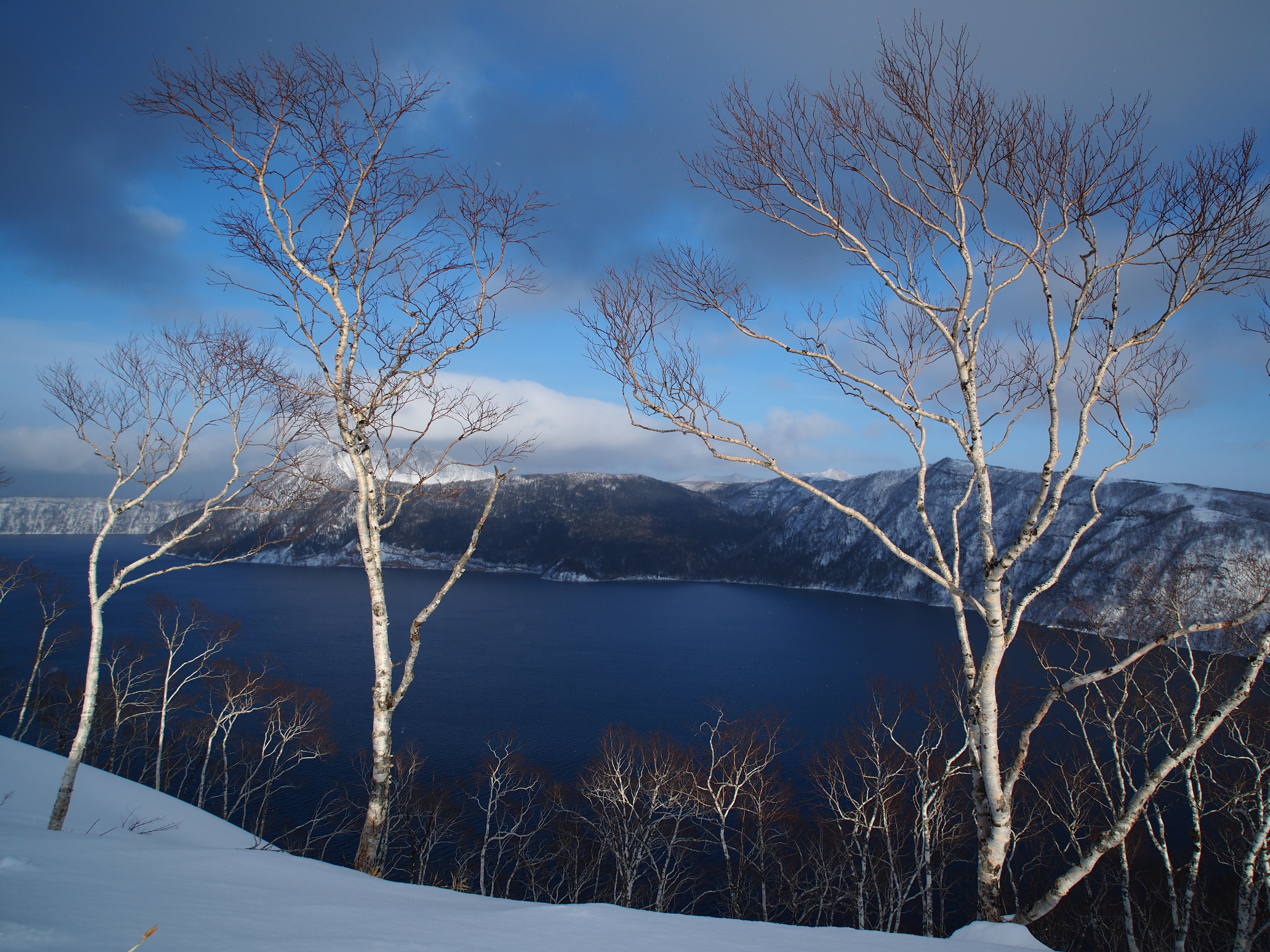 KOWA PROMINAR 12mm F1.8 / OLYMPUS OM-D E-M5 Mark II / F5.6 / 1/1,500秒 / ISO200