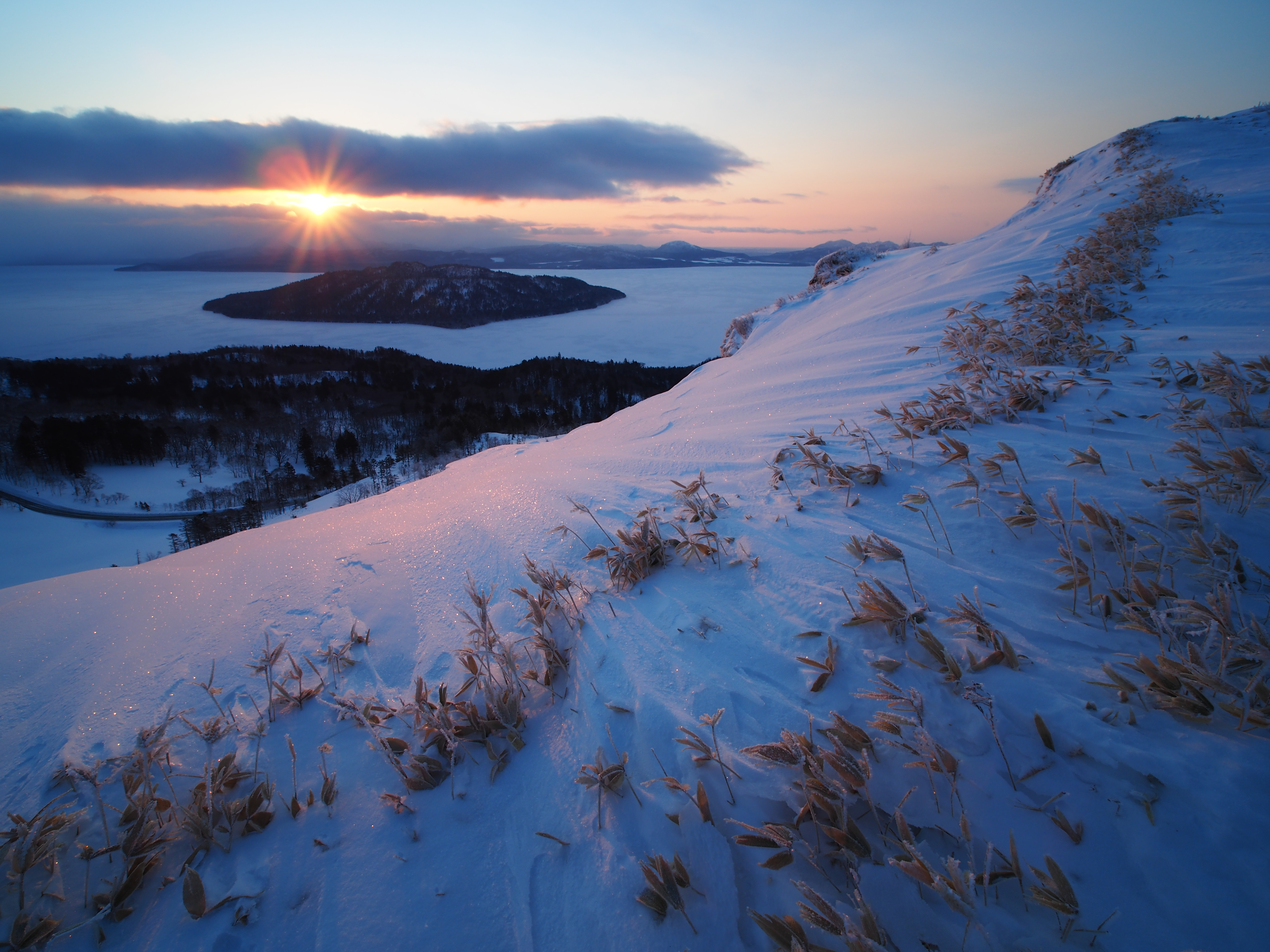 KOWA PROMINAR 8.5mm F2.8 / OLYMPUS OM-D E-M5 Mark II / F8 / 1/125秒 / ISO200