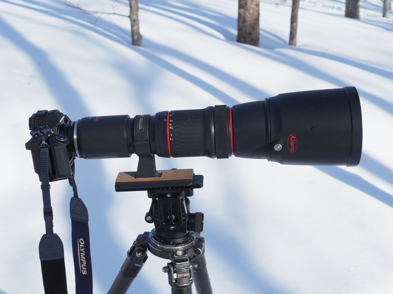 PROMINAR 500mm F5.6 FLとOLYMPUS OM-D E-M5 Mark IIの組み合わせ。1,000mm相当の超望遠撮影が可能だ。