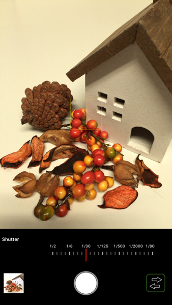 シャッタースピード（TricCamのみ）