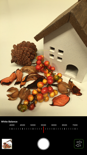 ホワイトバランス（TricCamのみ）