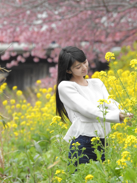 COOLPIX P900 / 1/400秒 / F6.3 / ISO 800 / 178mm（1,000mm相当）