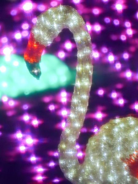 COOLPIX P900 / 1/25秒 / F6.5 / ISO 1600 / 357mm（2,000mm相当）