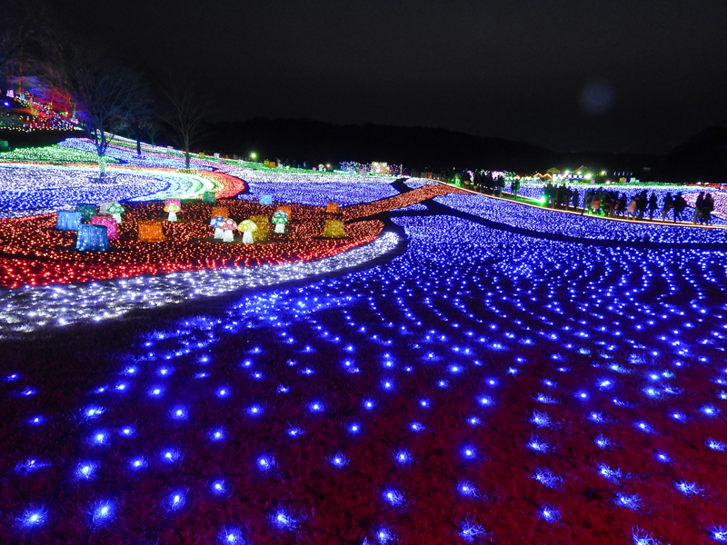 COOLPIX P900 / 1/13秒 / F2.8 / ISO 400 / 4.3mm（24mm相当）