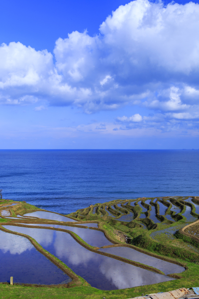 青色をより強調したかったので縦位置にして、青空の映り込みがない右サイドを切ってさわやかなイメージを狙ってみた