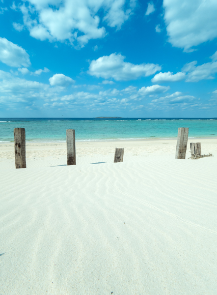 美しい砂の波紋を強調するためにバリアングル液晶モニターを駆使しながらできるだけ地面にカメラを近づけて撮影。F11まで絞って深い被写界深度を得た。（瀬底島　瀬底ビーチ）<br class=""><span class="fnt-85">オリンパス OM-D E-M5 Mark II / M.ZUIKO DIGITAL ED 7-14mm F2.8 PRO / 8mm（16mm相当） / 絞り優先AE（F11、1/500秒、+0.3EV） / ISO 200</span>