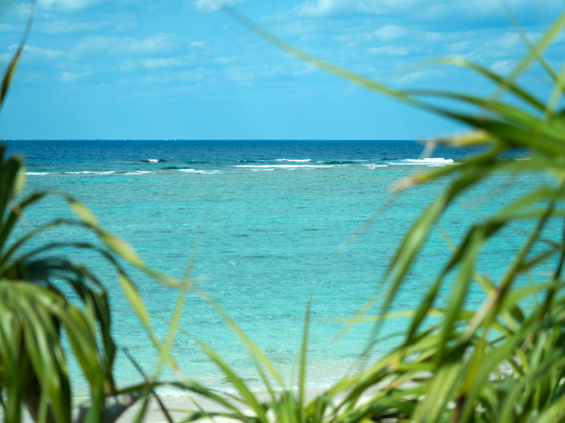 アダンの茂みを抜けると広がるエメラルドグリーンの海をイメージして撮影。手前にあるアダンの葉が主張しすぎると主題が不明瞭になりがちになるため、絞りを開放に設定してアダンの葉をできる限りぼかした。思い通りのボケ味で見事主題を引き立たせることに成功。<br class=""><span class="fnt-85">オリンパス OM-D E-M5 Mark II / M.ZUIKO DIGITAL 12-40mm F2.8 PRO / 40mm（80mm相当） / 絞り優先AE（F2.8、1/5,000秒、-0.7EV） / ISO 200</span>