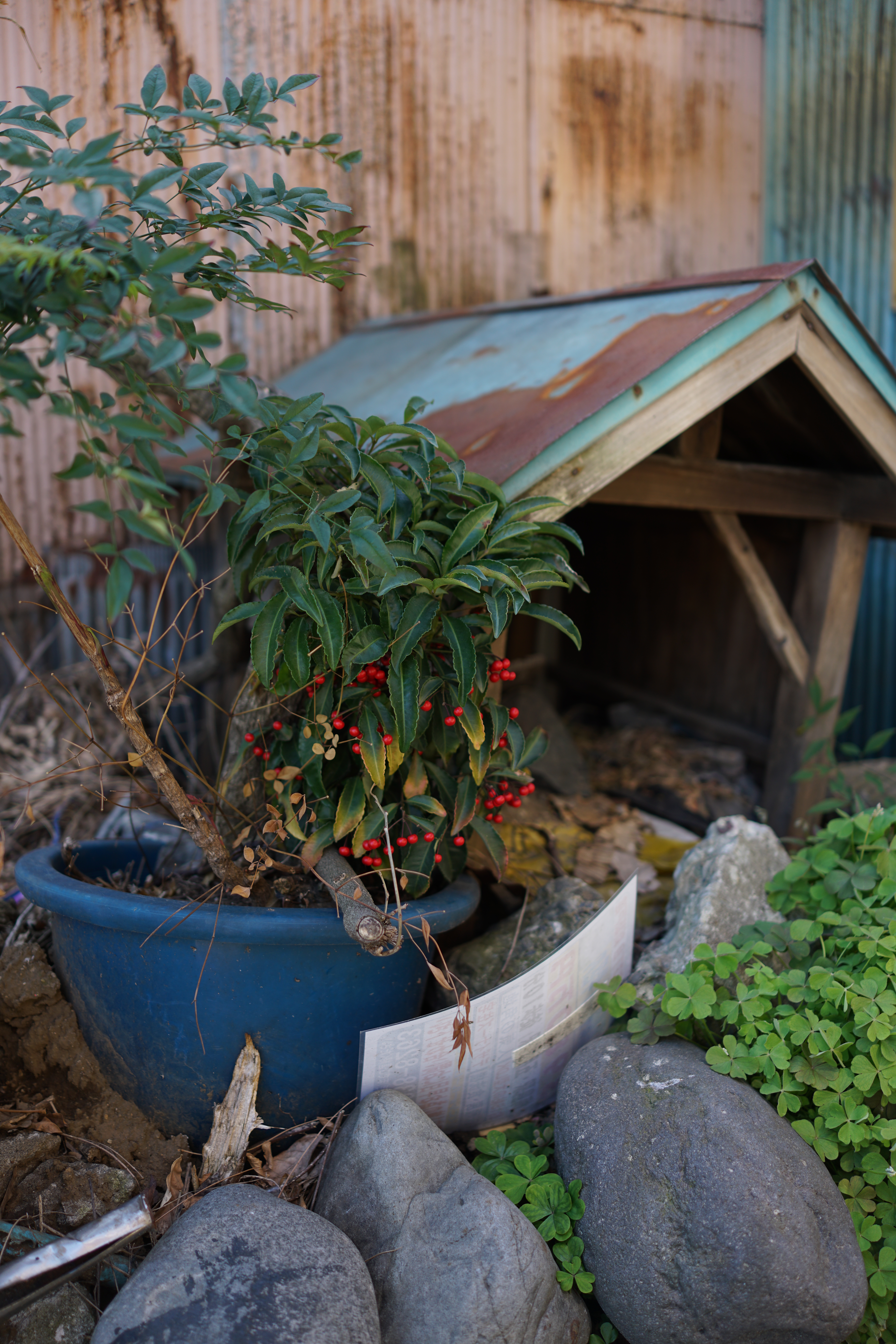 RX1R II / 7,952×5,304 / 1/320秒 / F2 / -1.3EV / ISO100 / WB:オート