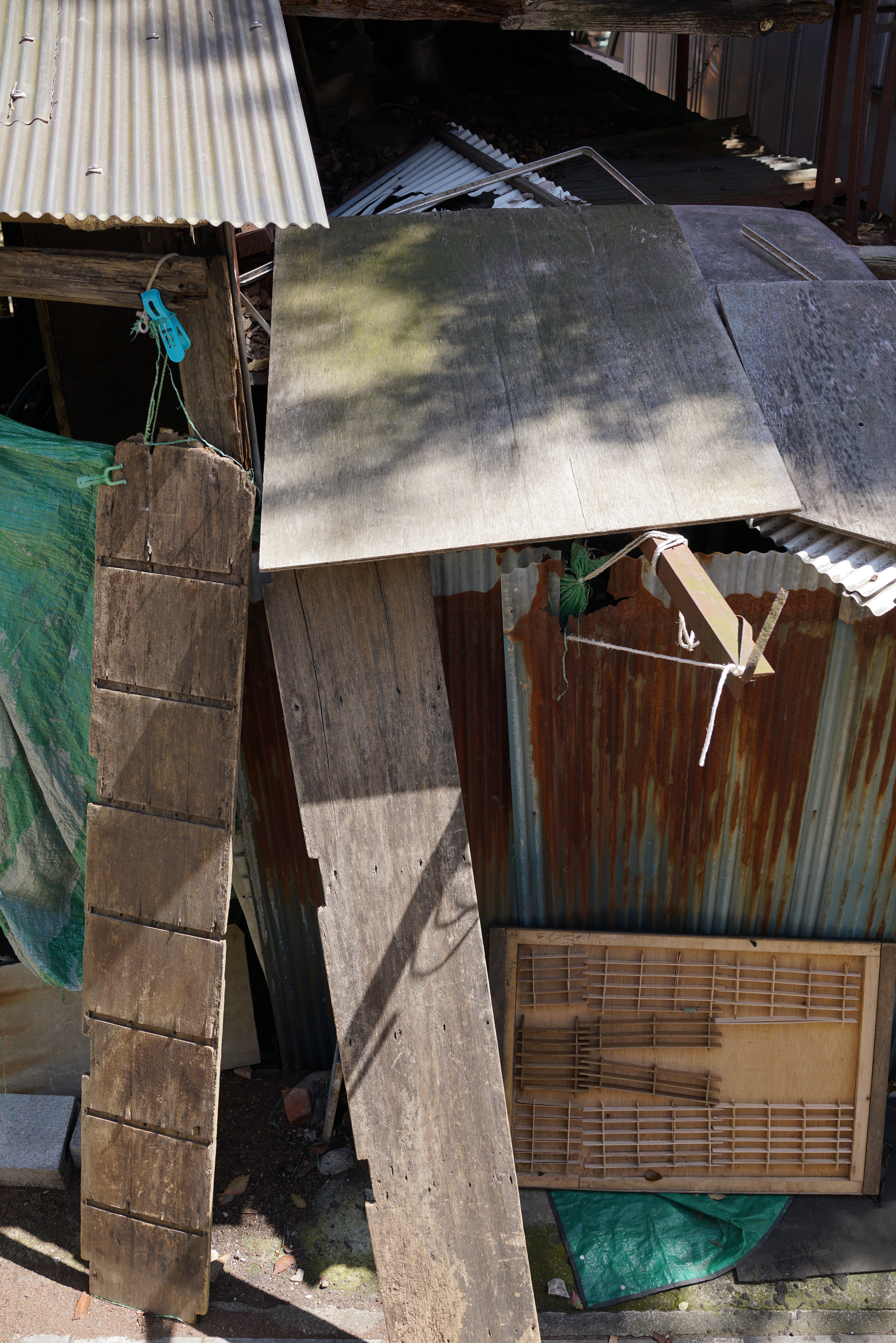 RX1R II / 7,952×5,304 / 1/160秒 / F5.6 / -1.3EV / ISO100 / WB:オート