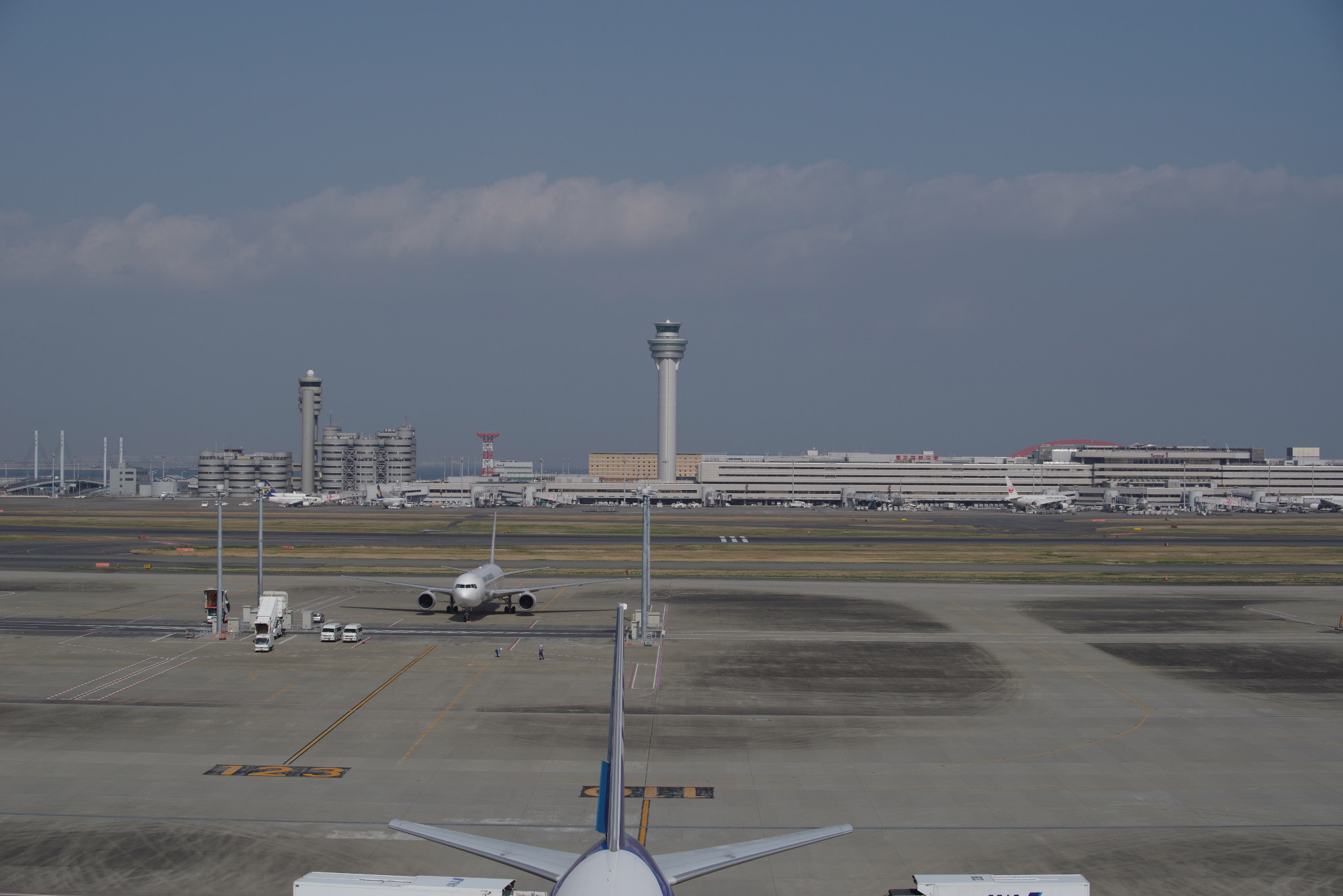 フルフレーム・60mm