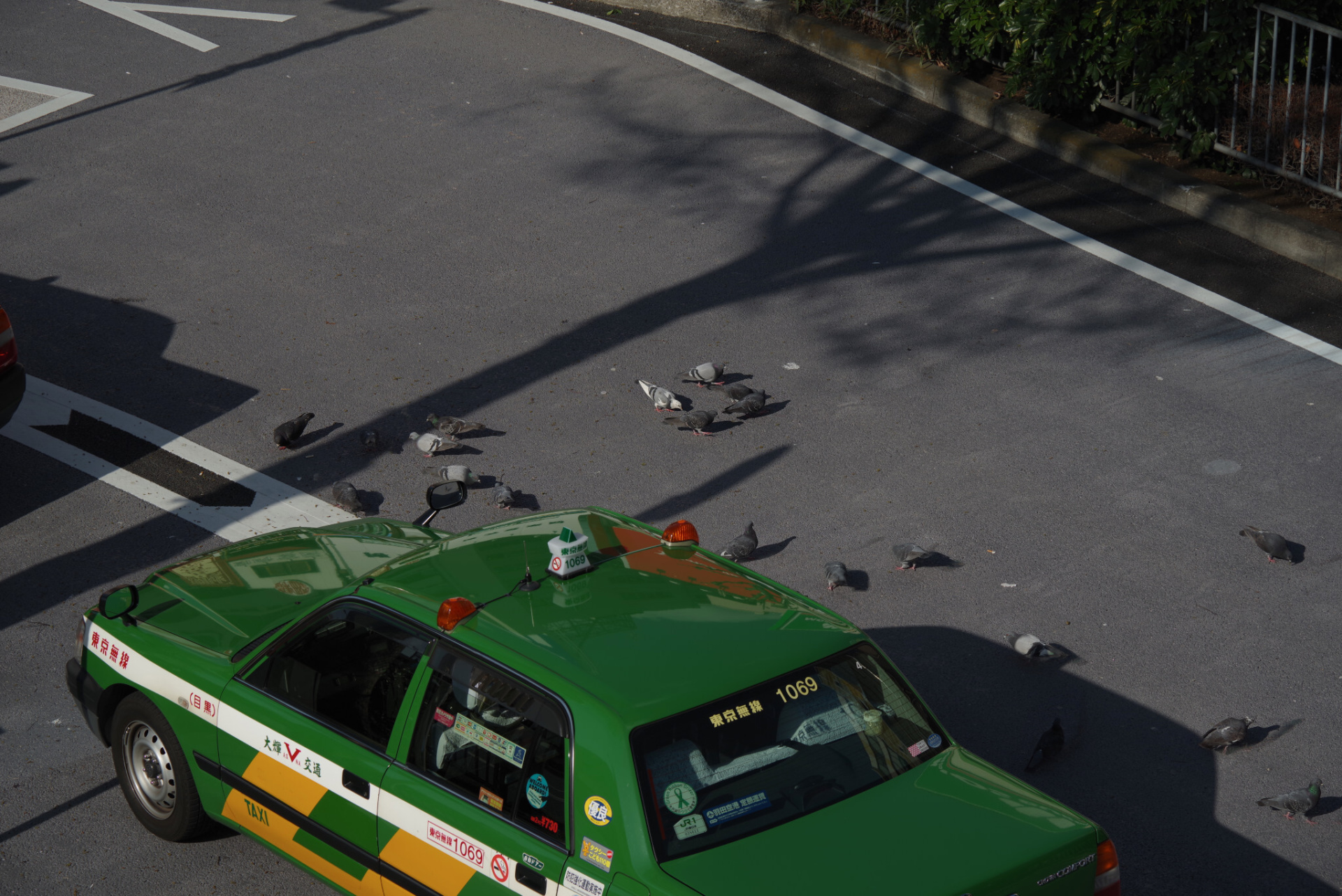 RRS撮影例（動体補正オン）