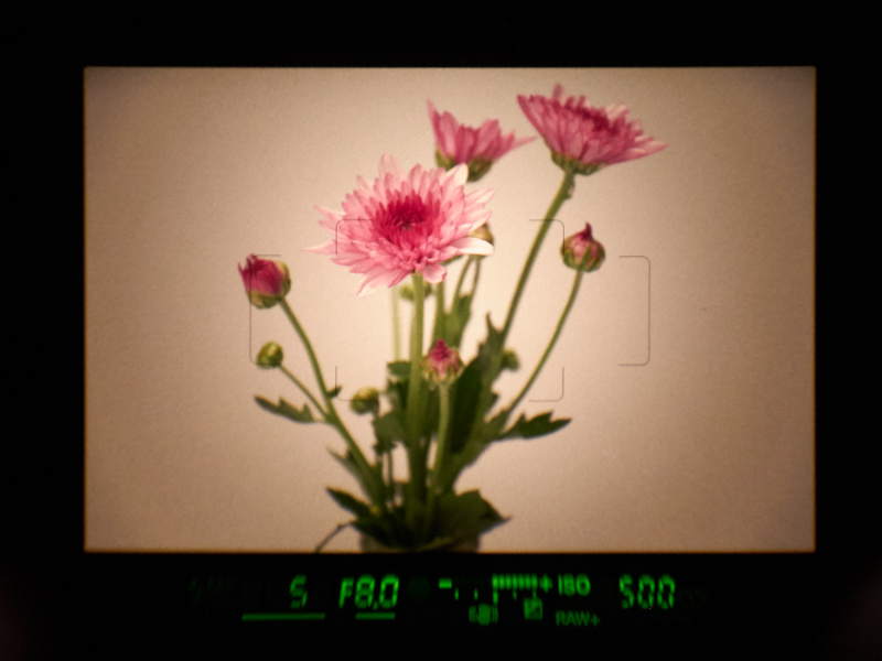 通常のファインダー視野