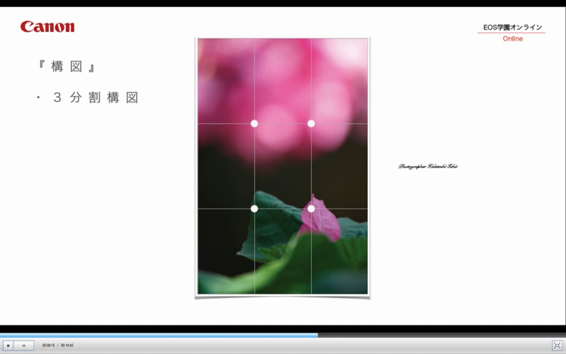 オンライン講座「春のカメラワーク in 東山植物園」の一部。©石井秀俊