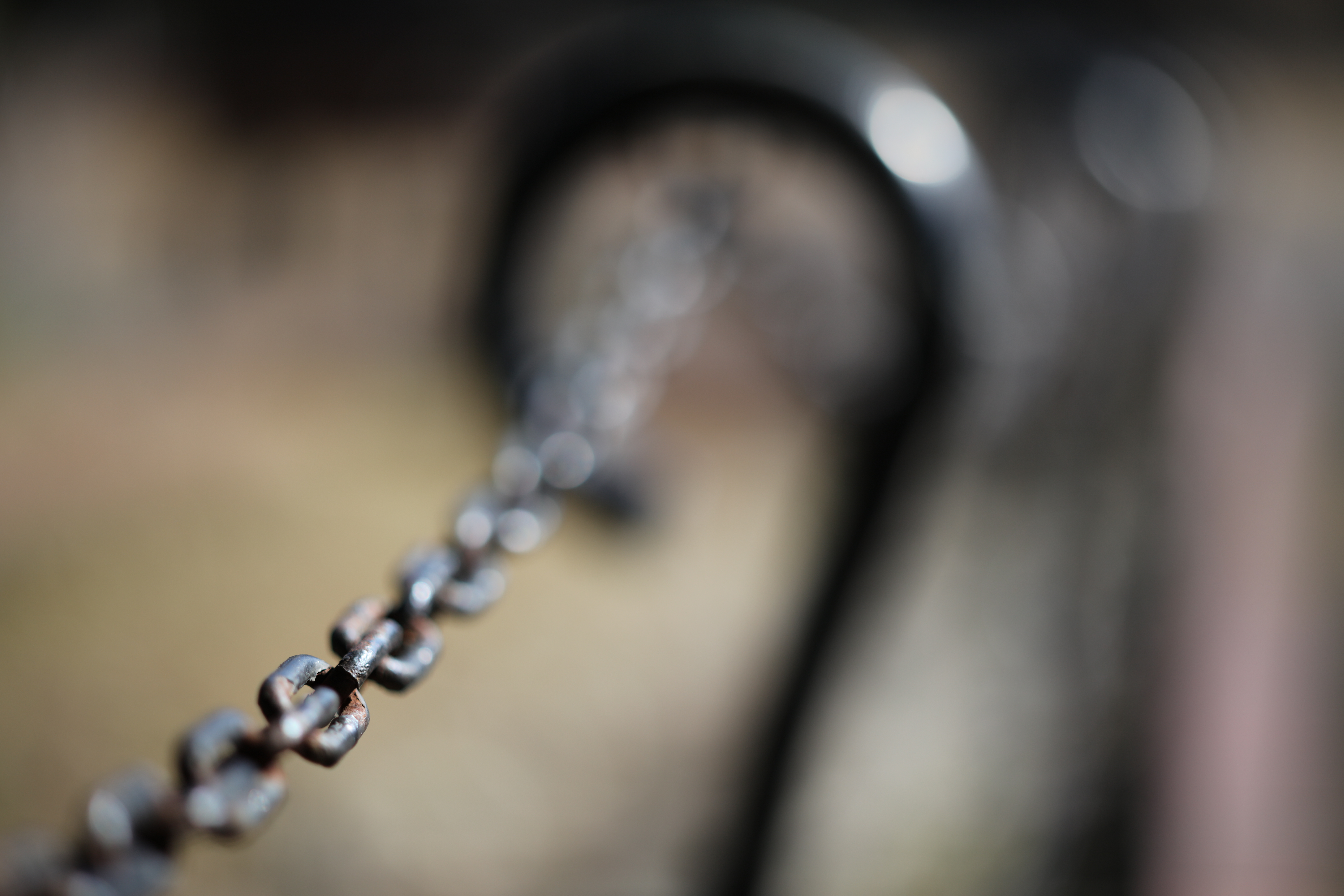 絞り開放・最短撮影距離（約80cm）で撮影。EOS 5DS R / 1/4,000秒 / F1.4 / 0EV / ISO100 / 絞り優先AE / 85mm