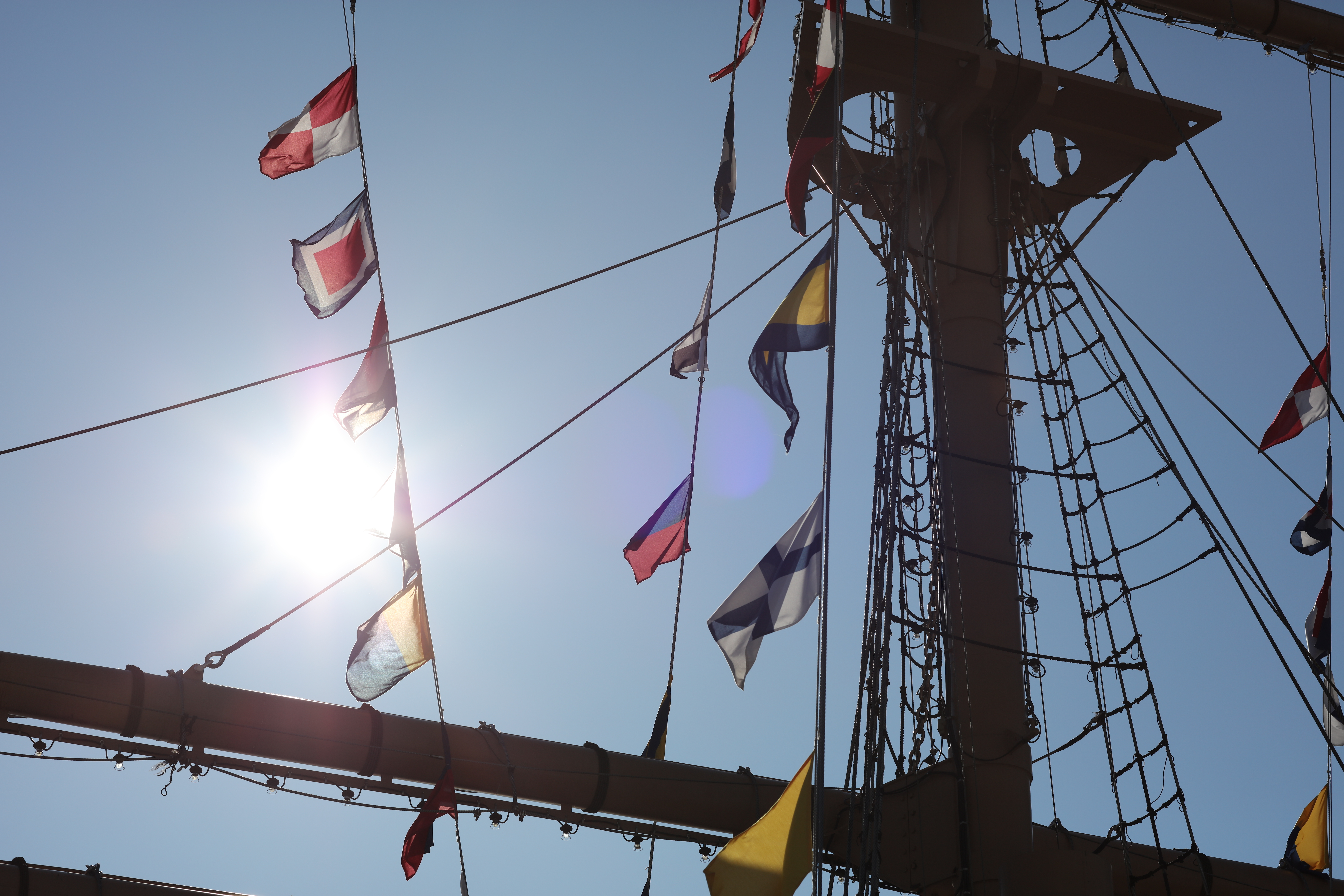 太陽が画面内に入る逆光で撮影。EOS 5DS R / 1/1,250秒 / F8 / -0.3EV / ISO100 / 絞り優先AE / 85mm