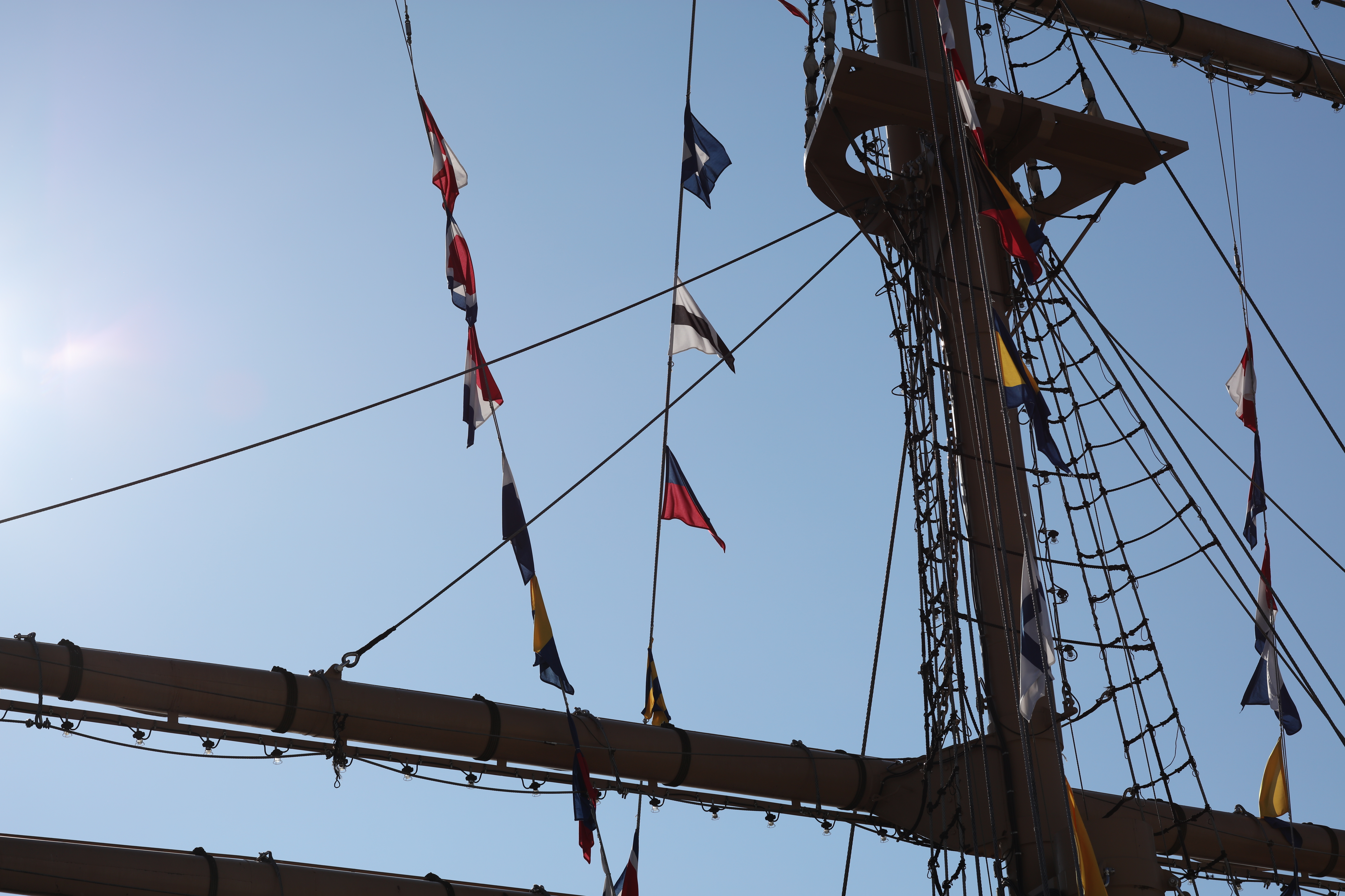 太陽が画面外にある逆光で撮影。EOS 5DS R / 1/1,000秒 / F8 / -0.3EV / ISO100 / 絞り優先AE / 85mm