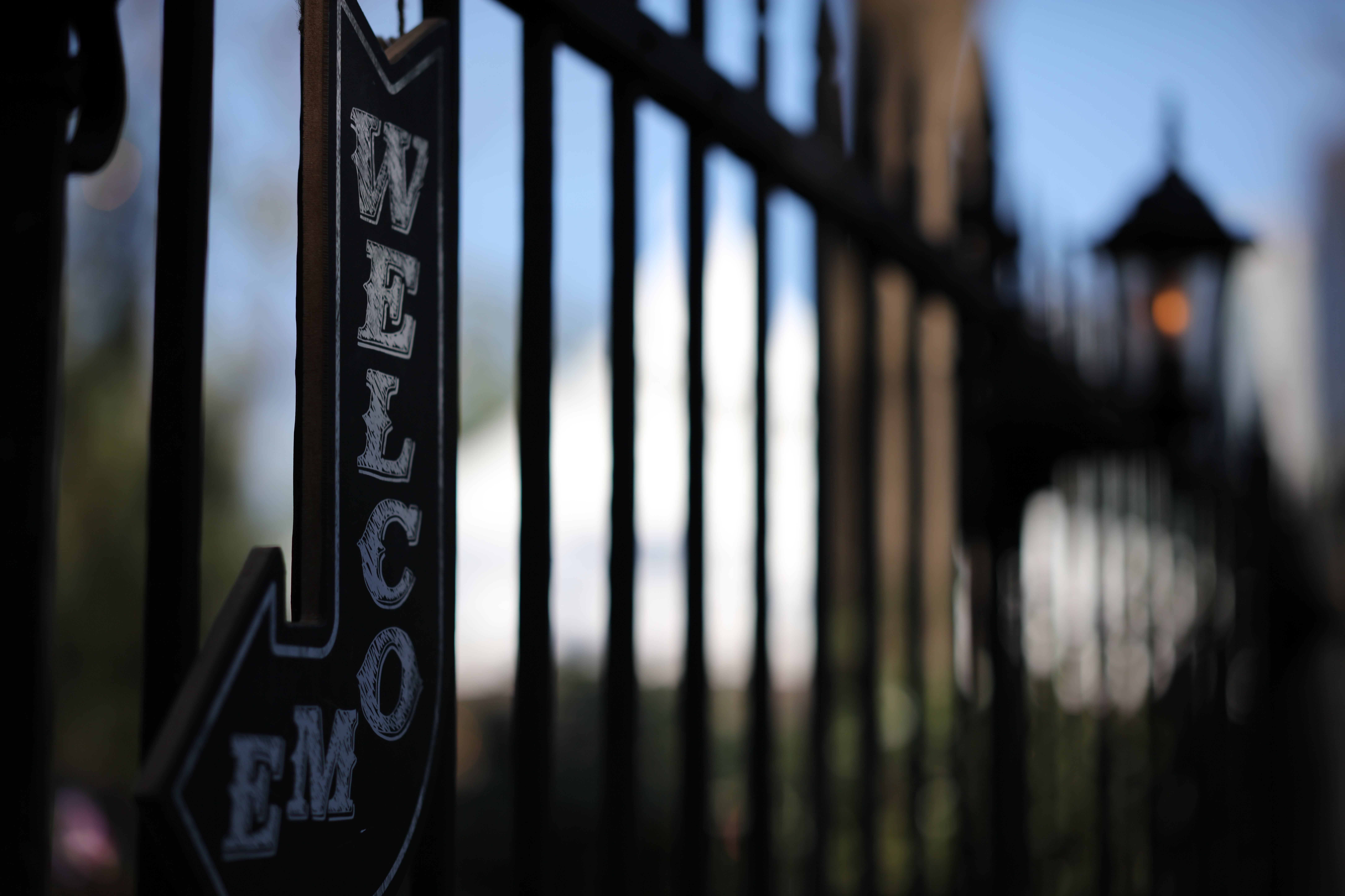 EOS 5DS R / 1/4,000秒 / F2 / -0.3EV / ISO100 / 絞り優先AE / 85mm