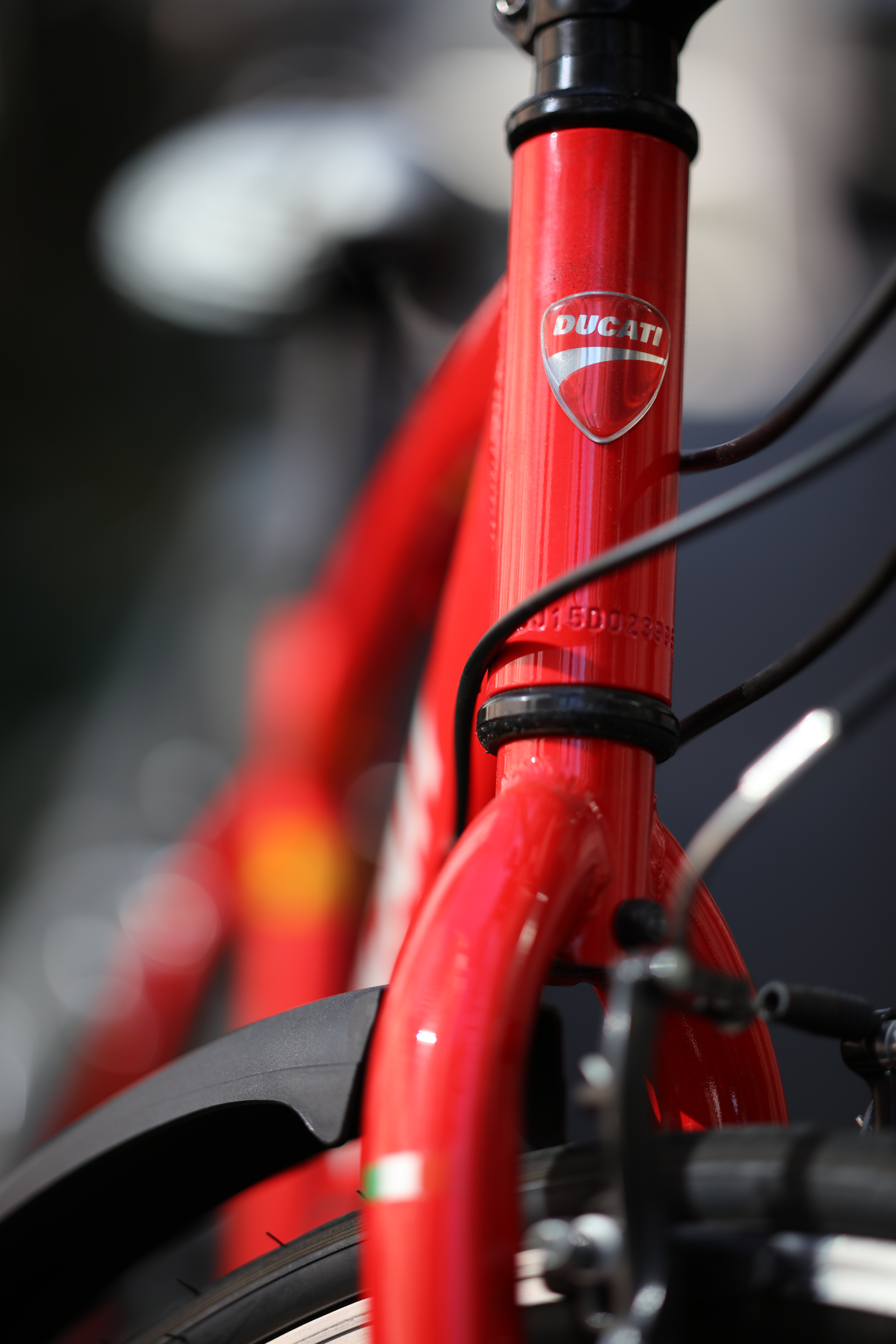 EOS 5DS R / 1/800秒 / F1.4 / 0EV / ISO100 / 絞り優先AE / 85mm