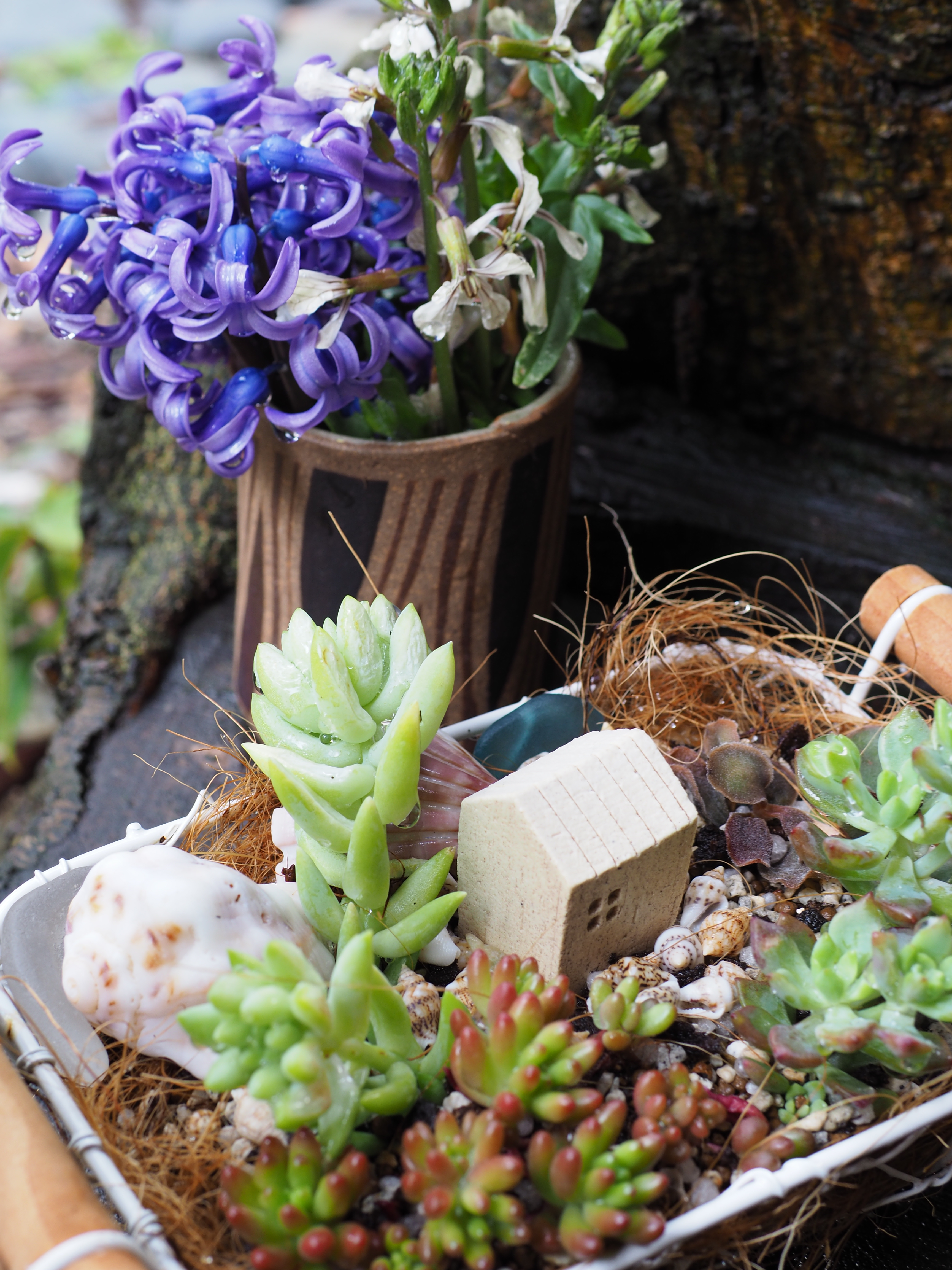 E-M10 Mark II / 1/8秒 / F5.6 / -0.3EV / ISO200 / 絞り優先AE / 30mm