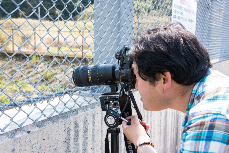 金網のある場所でも望遠レンズを近づけると、下のように金網が消えた