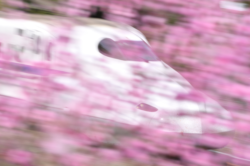 <strong class="">花流し</strong><br class="">車両の前に花を配して流し撮り。鮮やかな花の色が風となって新幹線を包み込む