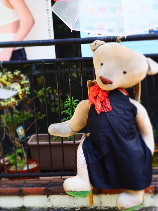 レンズ交換後、十数メートル先にぶら下がっていたクマさんがこんなにも綺麗で近くに撮れて感動しました。やはり、いつものiPhoneとは月とすっぽんです。