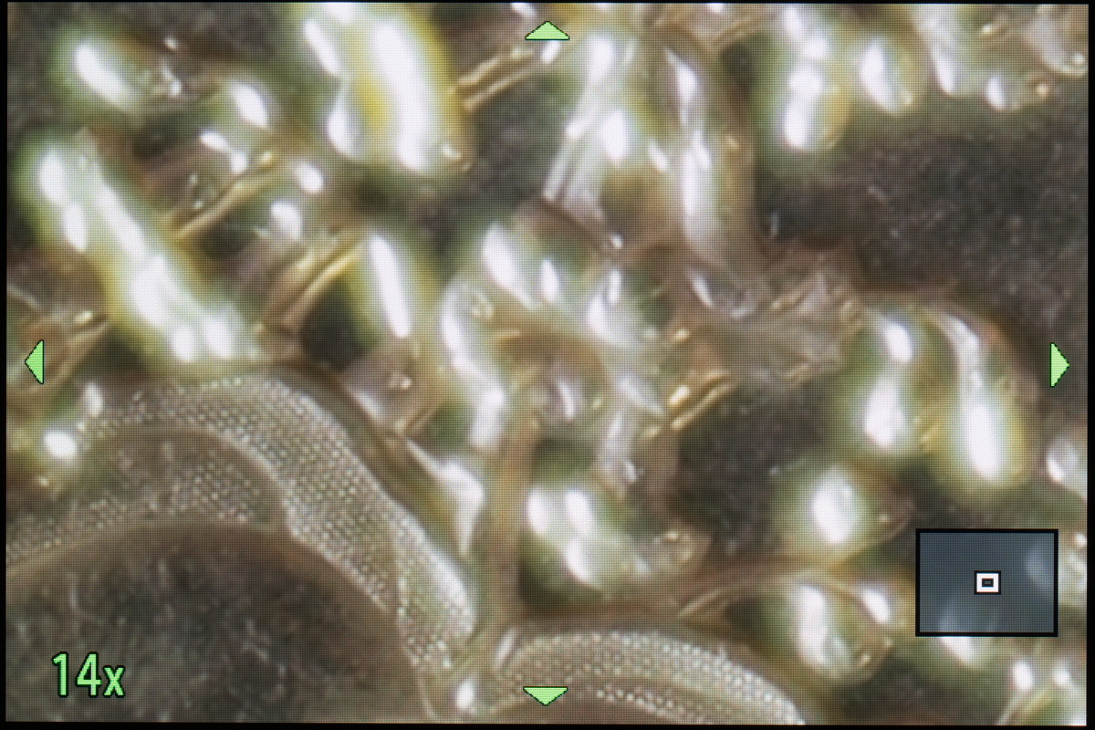 絞り開放でのめいっぱいの拡大表示状態。最短撮影距離付近だとこんな感じでふわふわになる。