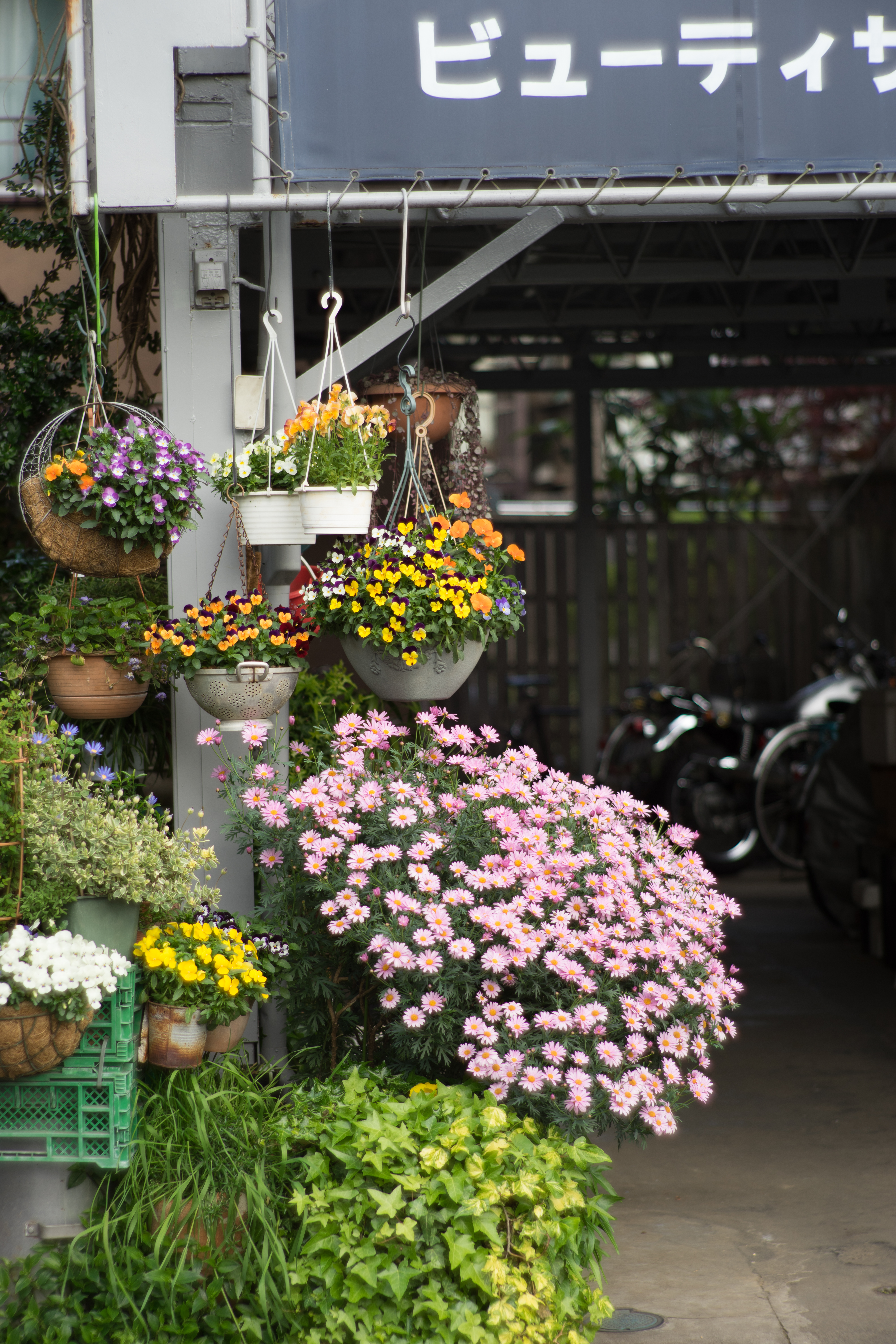 α7 II / Tele-Elmarit 90mm F2.8 / LM-EA7 / 1/400秒 / F2.8 / -0.7EV / ISO100 / WB:オート