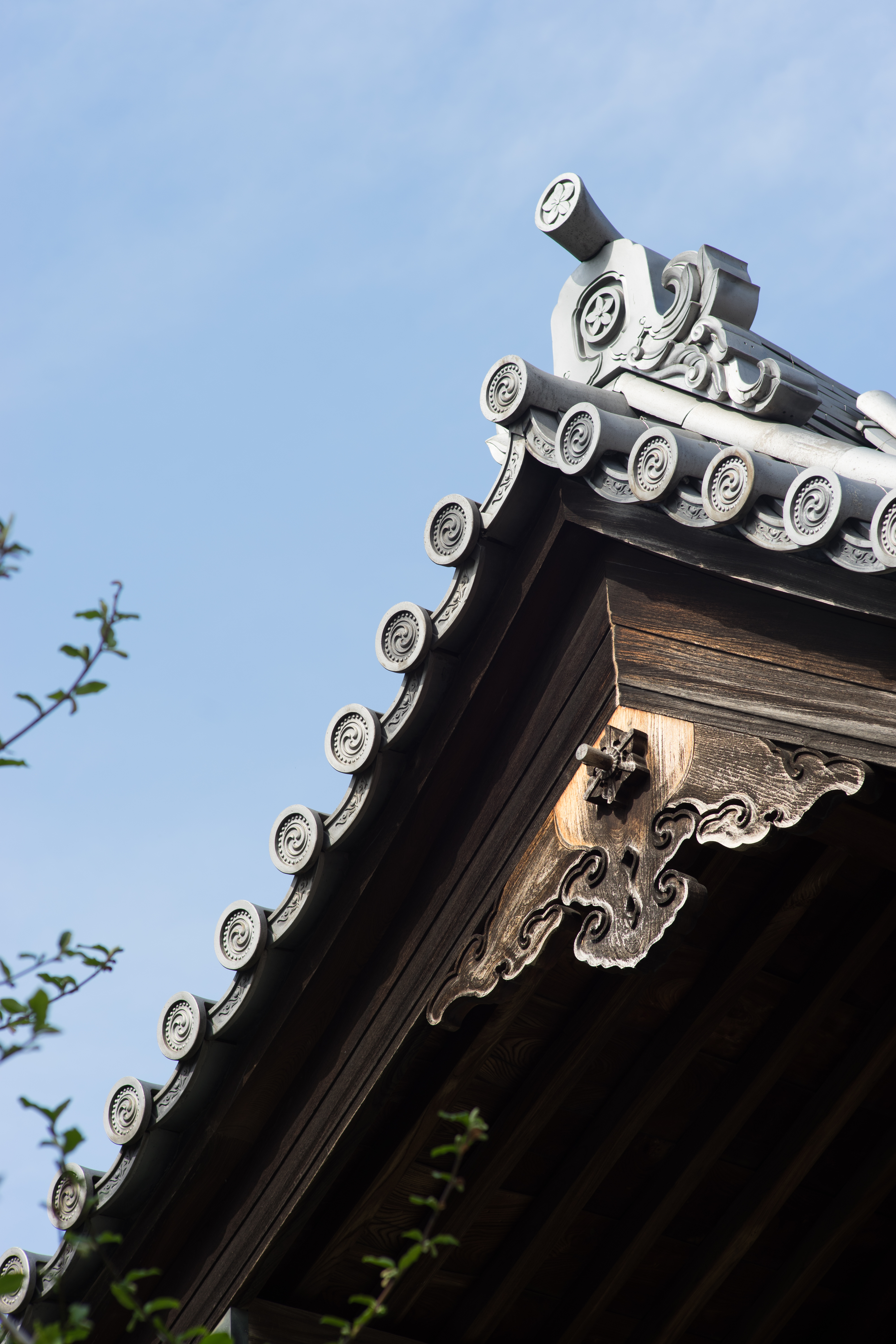 α7 II / Tele-Elmarit 90mm F2.8 / LM-EA7 / 1/400秒 / F5.6 / -0.7EV / ISO100 / WB:オート