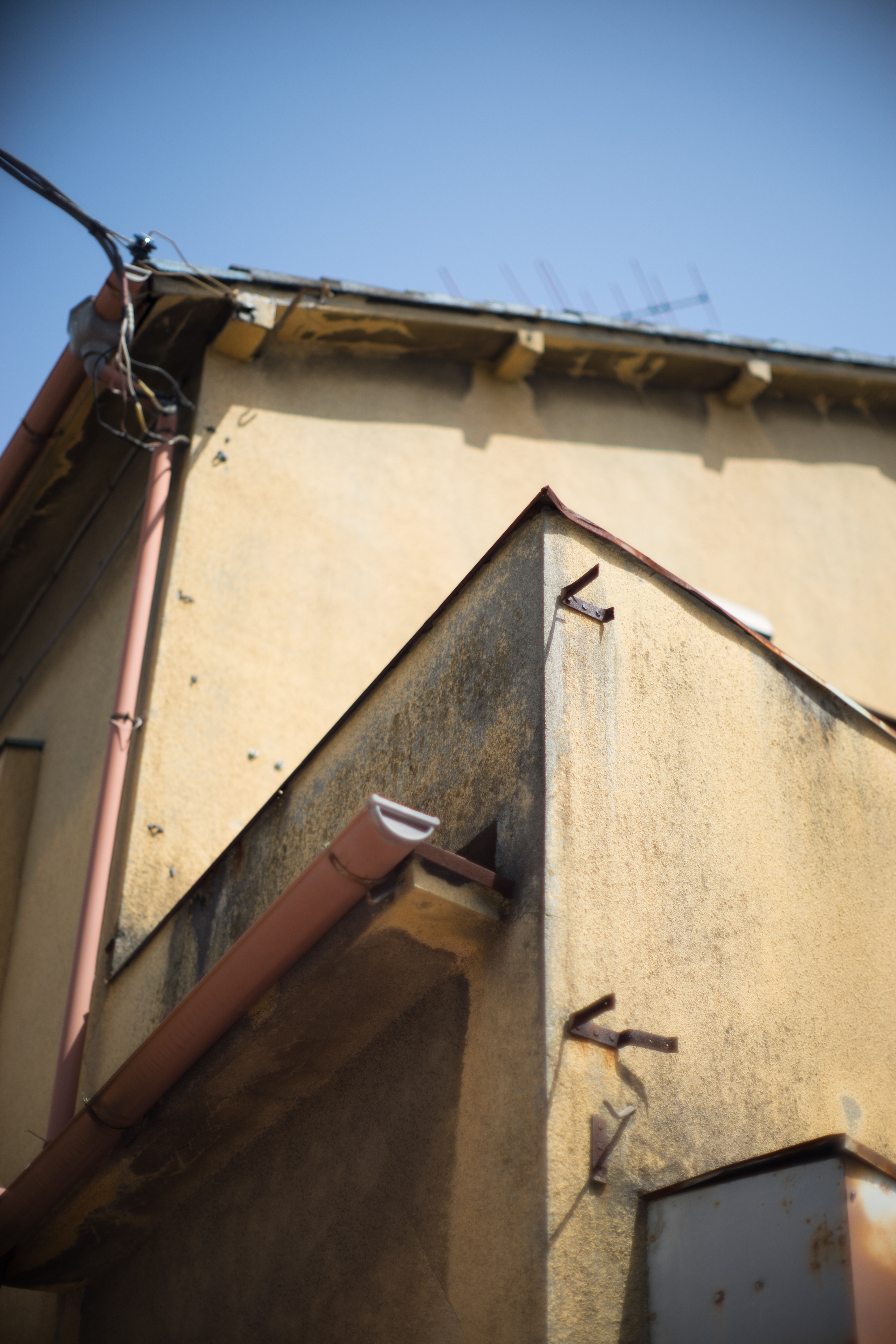 α7 II / Nikkor-S.C Auto 55mm F1.2 / LM-EA7 / 1/6,400秒 / F1.2 / ±0EV / ISO100 / WB:オート