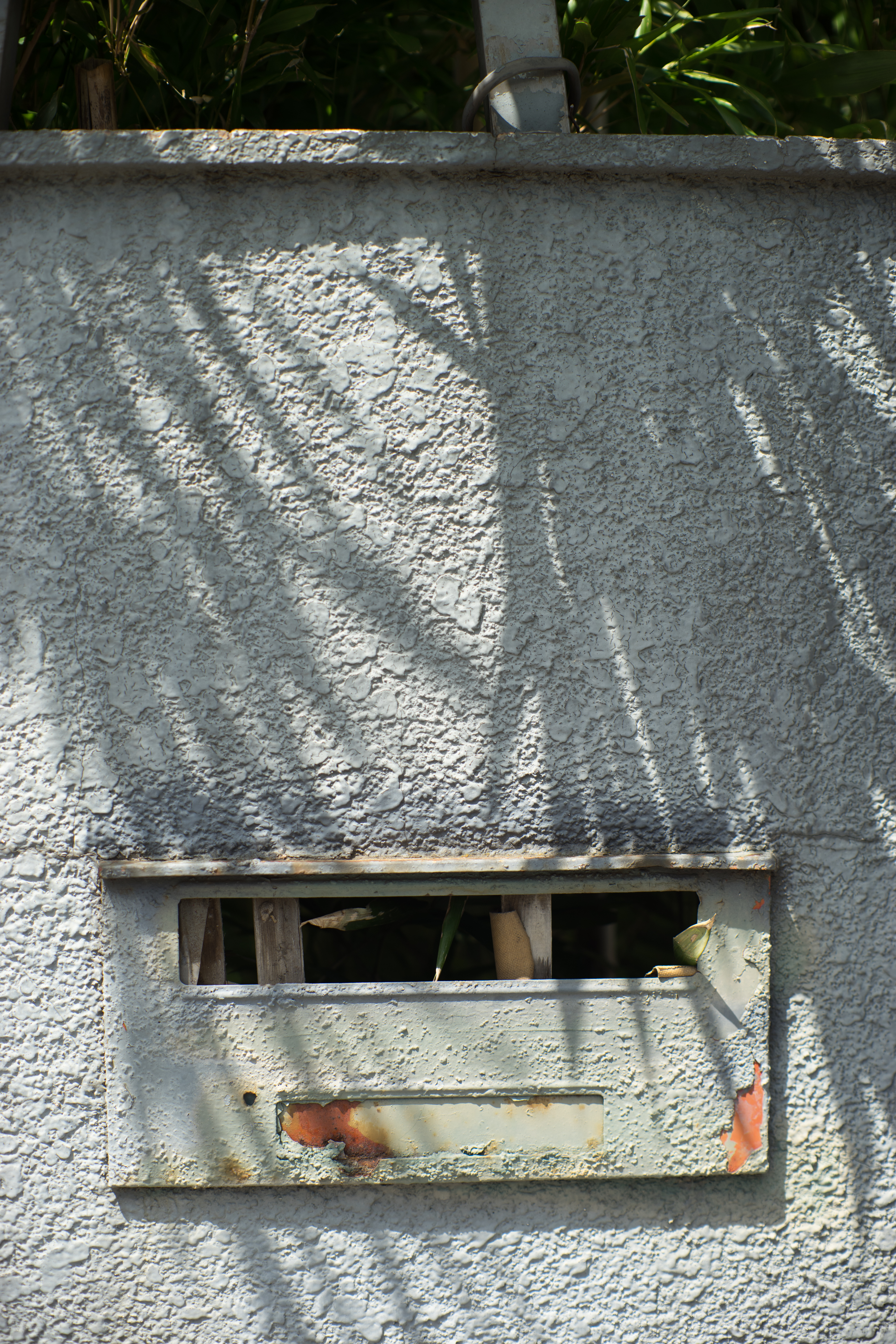 α7 II / Nikkor-S.C Auto 55mm F1.2 / LM-EA7 / 1/1,250秒 / F2.8 / ±0EV / ISO100 / WB:オート