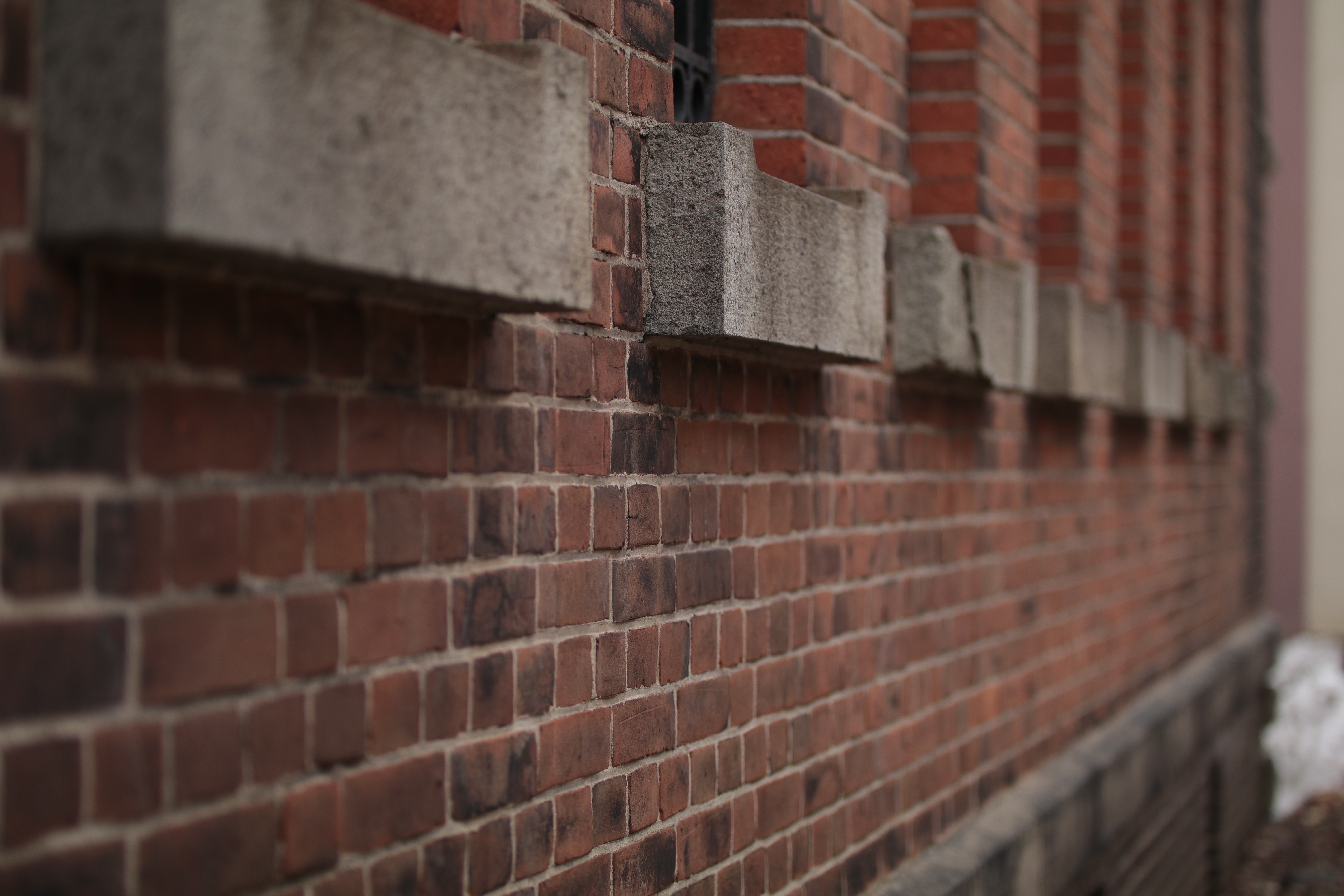 絞り開放・距離数mで撮影。EOS 80D / 1/400秒 / F1.8 / -0.7EV / ISO100 / 絞り優先AE / 50mm