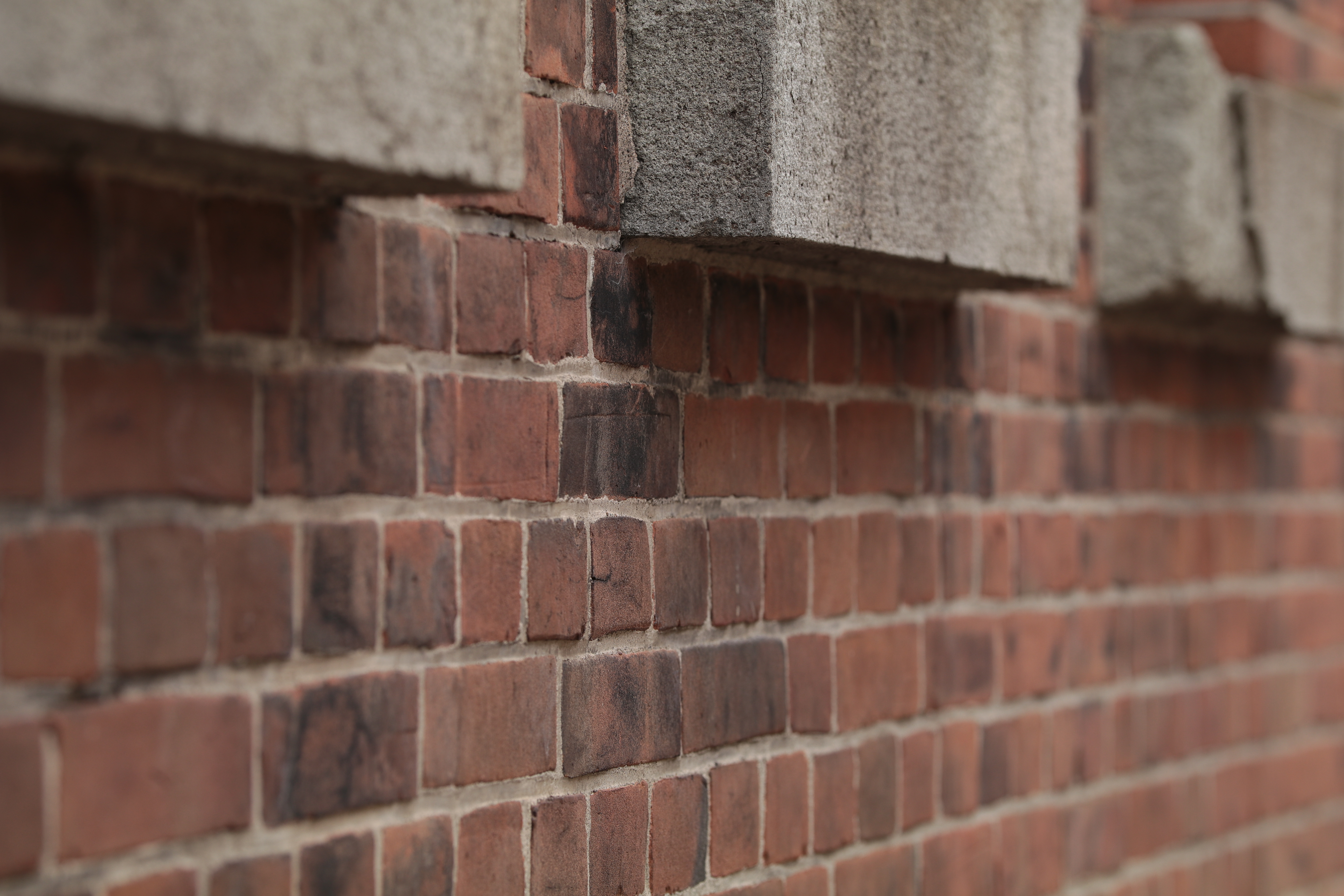 絞りF4・距離数mで撮影。EOS 80D / 1/60秒 / F4 / -0.7EV / ISO100 / 絞り優先AE / 100mm