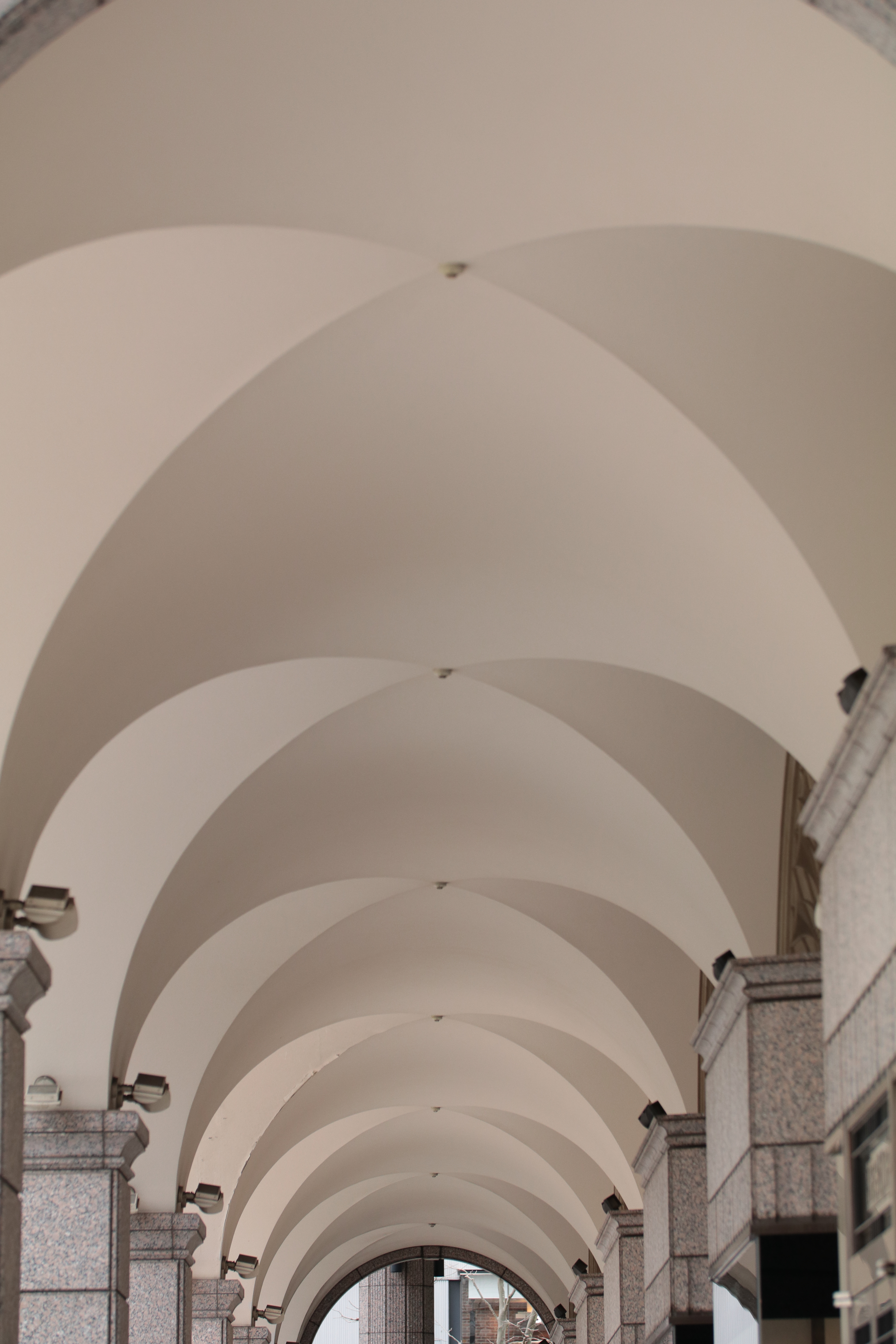 EOS 80D / 1/320秒 / F2.8 / +0.3EV / ISO400 / 絞り優先AE / 85mm