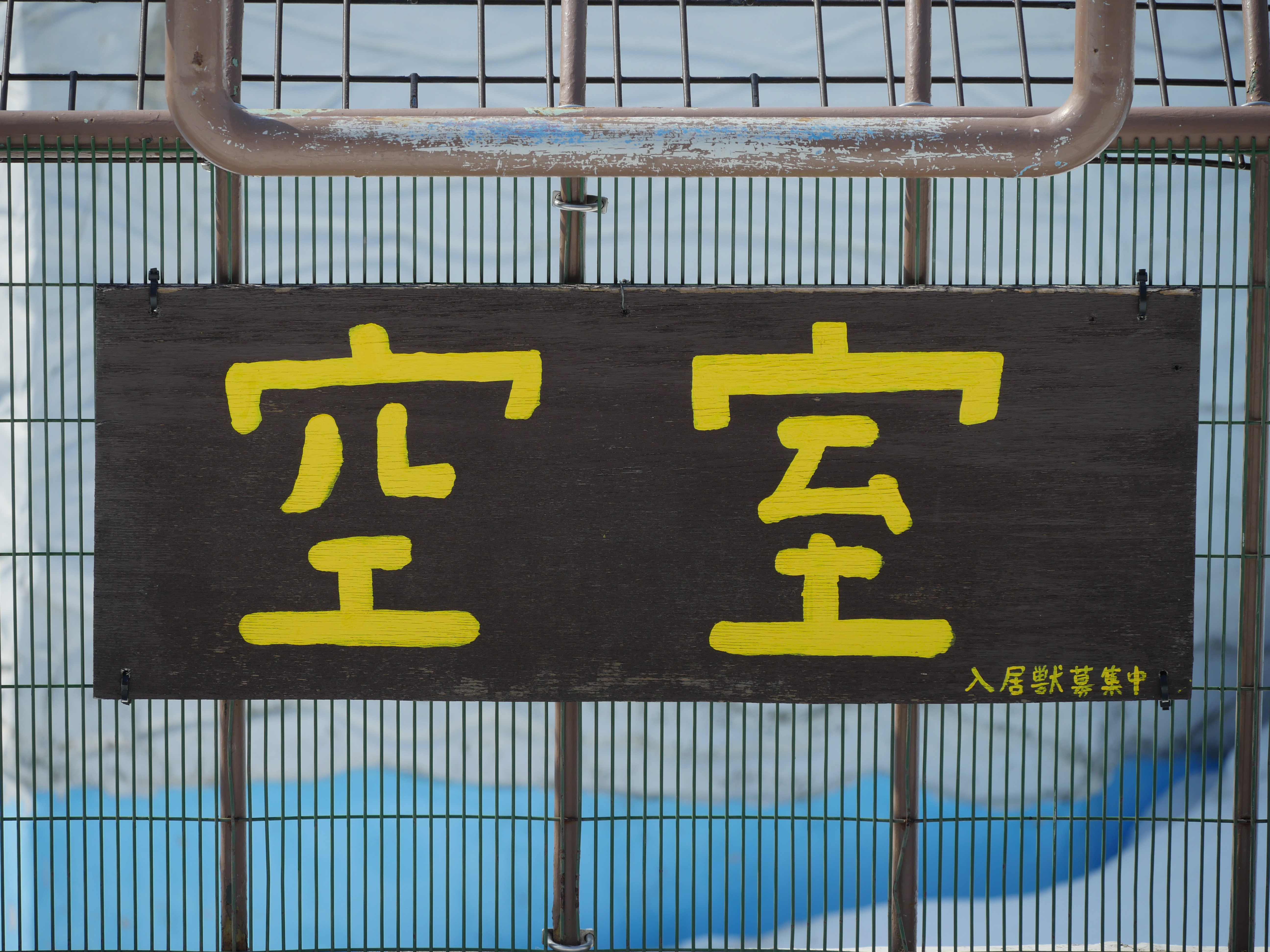 LUMIX GX8 / 1/800秒 / F6.3 / -1EV / ISO200 / 絞り優先AE / 100mm