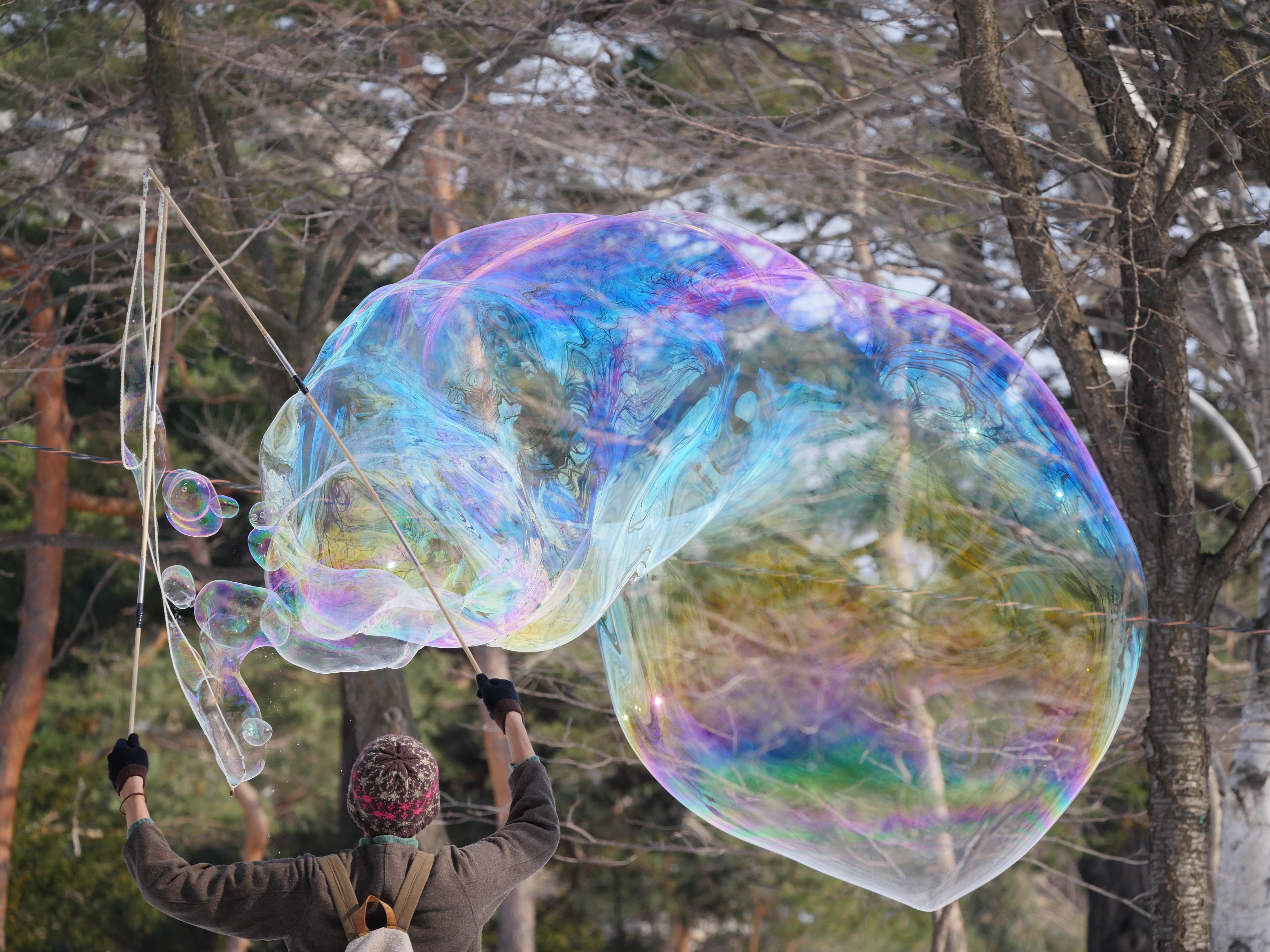 LUMIX GX8 / 1/1,000秒 / F5.6 / 0EV / ISO400 / 絞り優先AE / 150mm