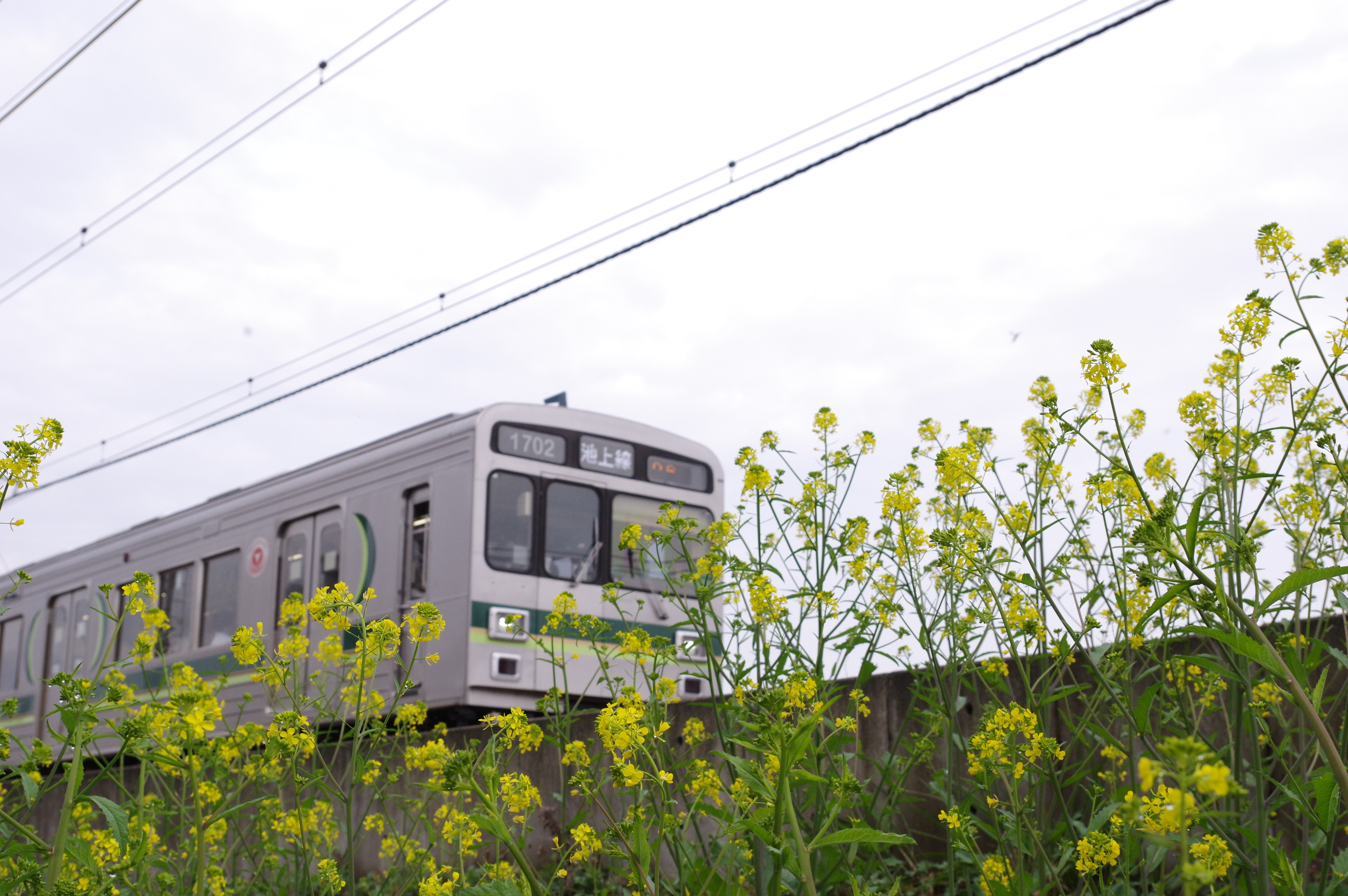 K-3 II / 1/640秒 / F9 / +0.3EV / ISO800 / Manual / 32mm