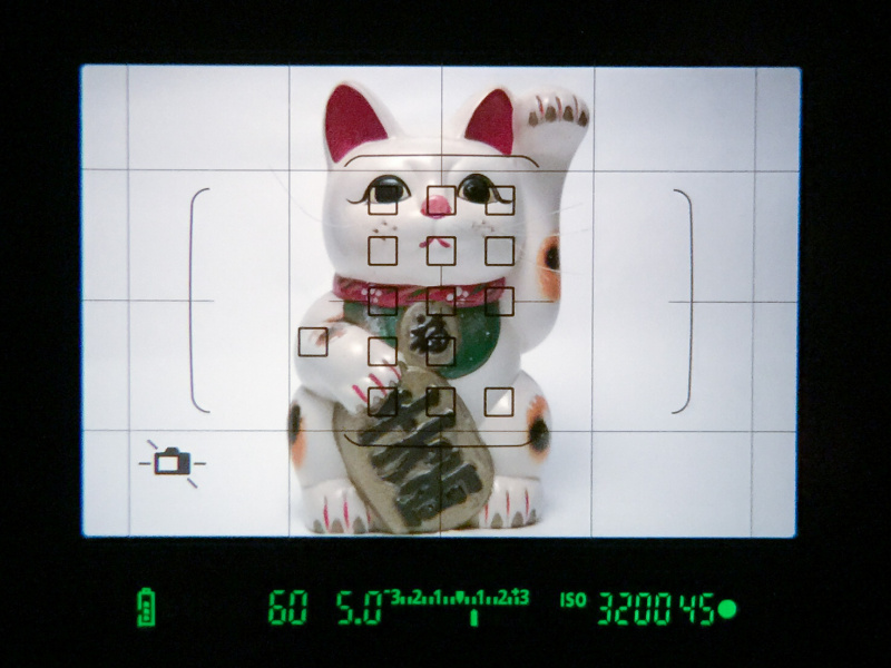 ファインダー像に重なる液晶表示では、選んだAF測距点のほか、罫線、水準器も表示可能。これらは設定により表示/非表示を選べる。なお、EOS 80Dのファインダーの視野率は約100%となった。EOS二桁機としては初めてのことだ。