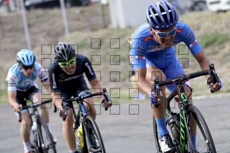 DPPにてAFポイントを表示