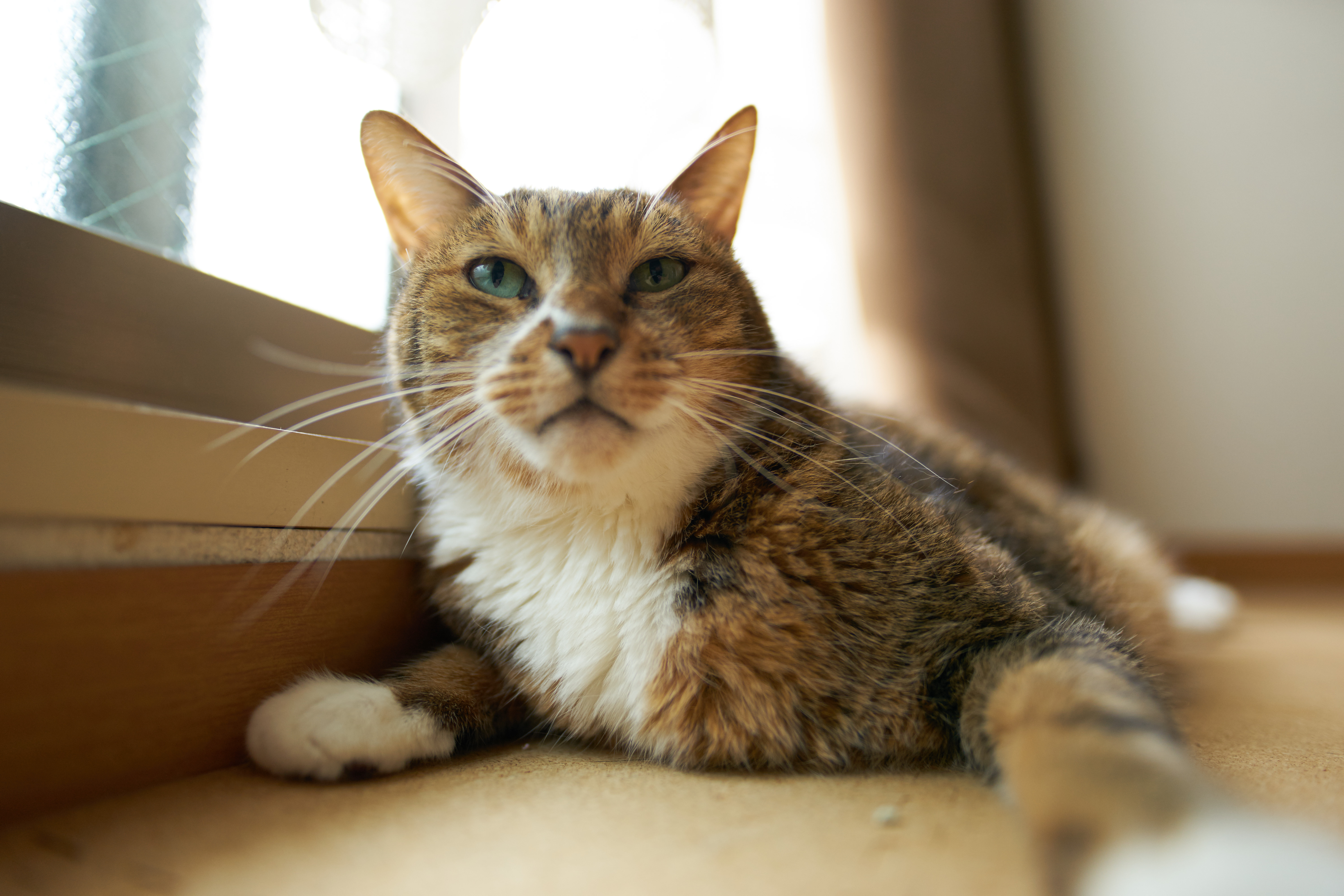 1/100秒 / F1.4 / ISO200 / 絞り優先AE / 20mm