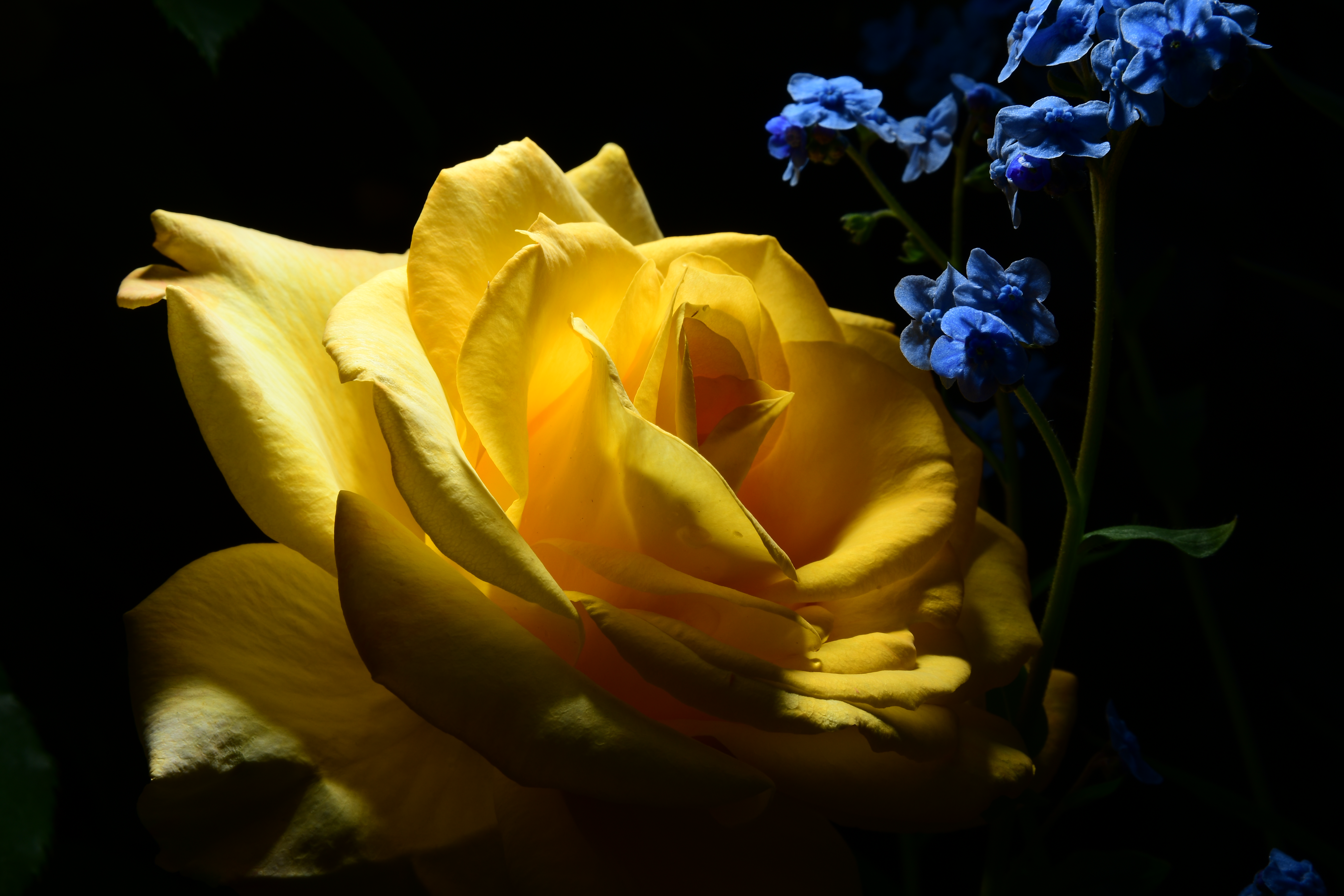 AF-S DX NIKKOR 16-80mm f/2.8-4E ED VR / ISO100 / F16 / 1/125秒 / -0.7EV / 58mm（87mm相当）