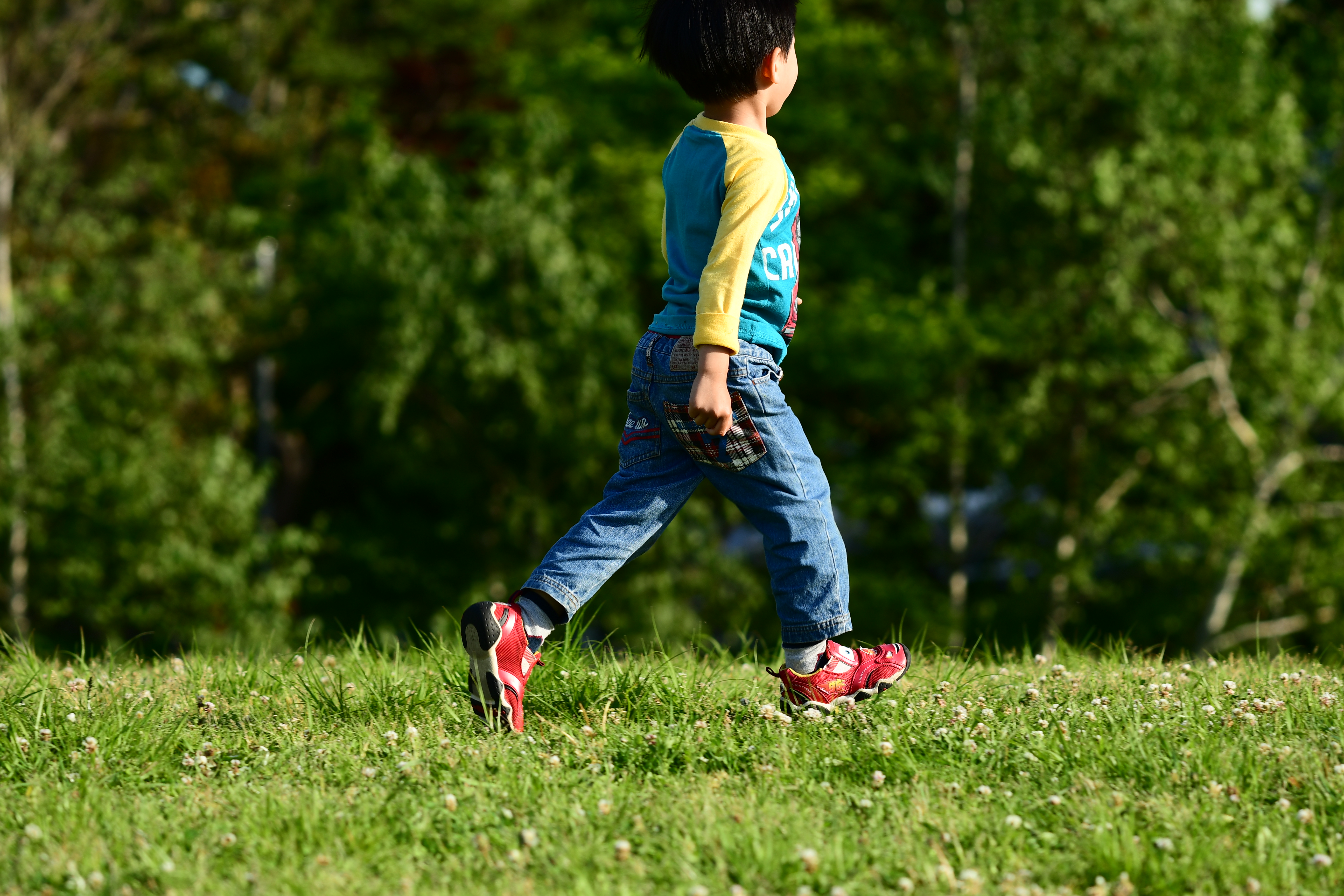 AF-S NIKKOR 70-200mm f/4G ED VR / ISO100 / F4 / 1/640秒 / ±0EV / 135mm（202mm相当）