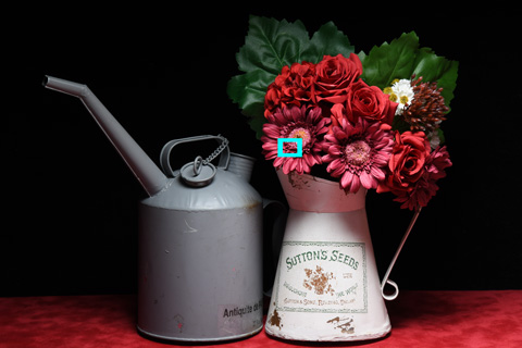 以下のサムネイルは青枠部分の等倍切り出しです