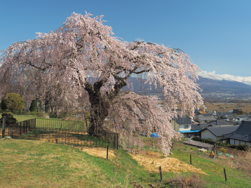 カラープロファイルコントロール