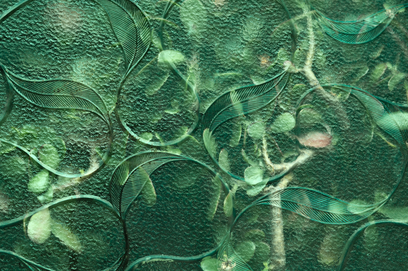 古いガラス越しに見えた植物は、外に出たいかのように少し窮屈そうに見えた。ねじるように茂る様子を愉快にしてしまうガラスの模様が印象的だった。<span class="fnt-85">オリンパス PEN-F / M.ZUIKO DIGITAL 45mm F1.8 / 45mm（90mm相当） / 絞り優先AE（F2.8、1/640秒、-0.7EV） / ISO 200</span>